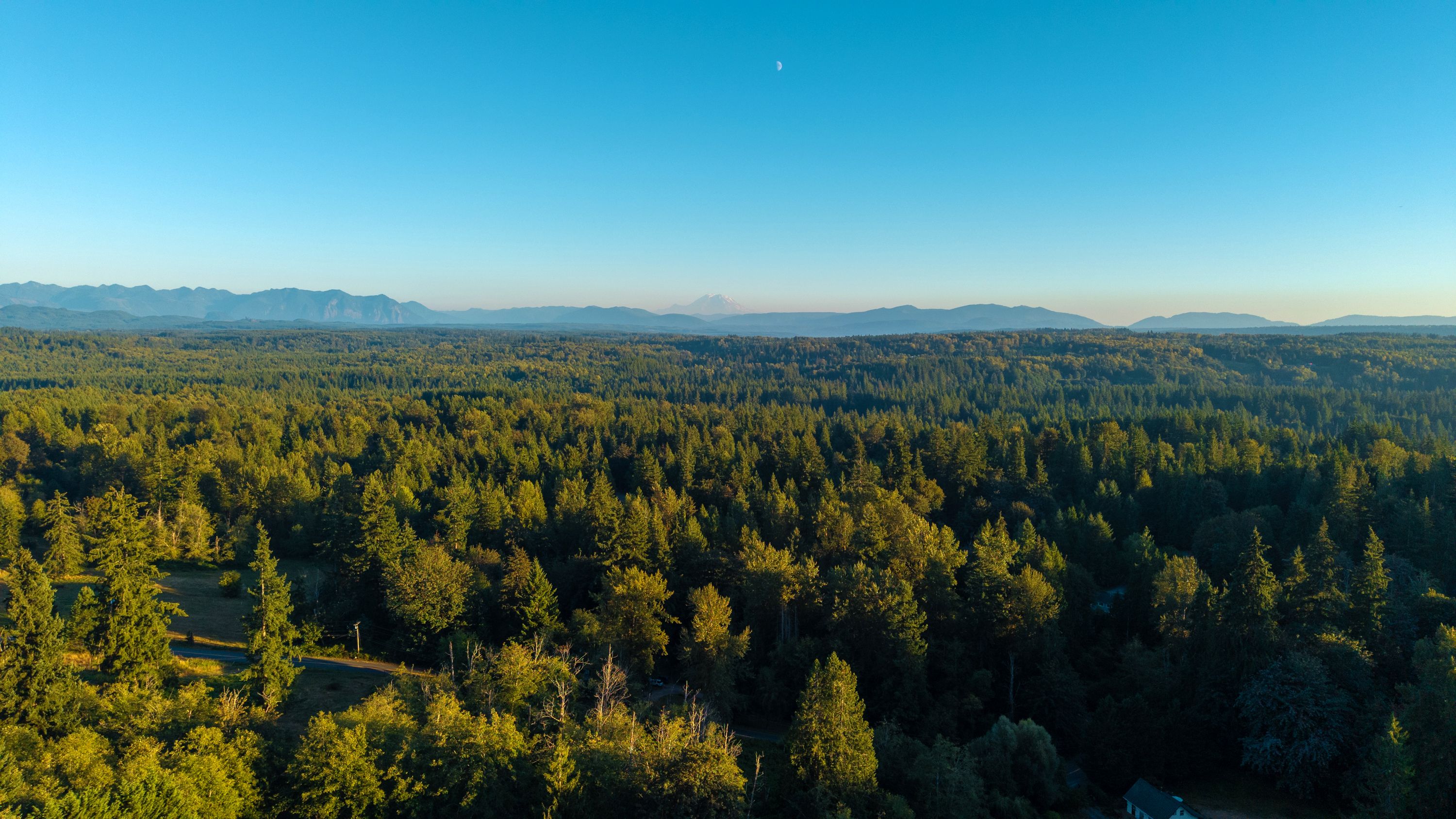  Mountain Glen Ranch  A Distinctive Northwest Estate with Montana Soul - 物件實景