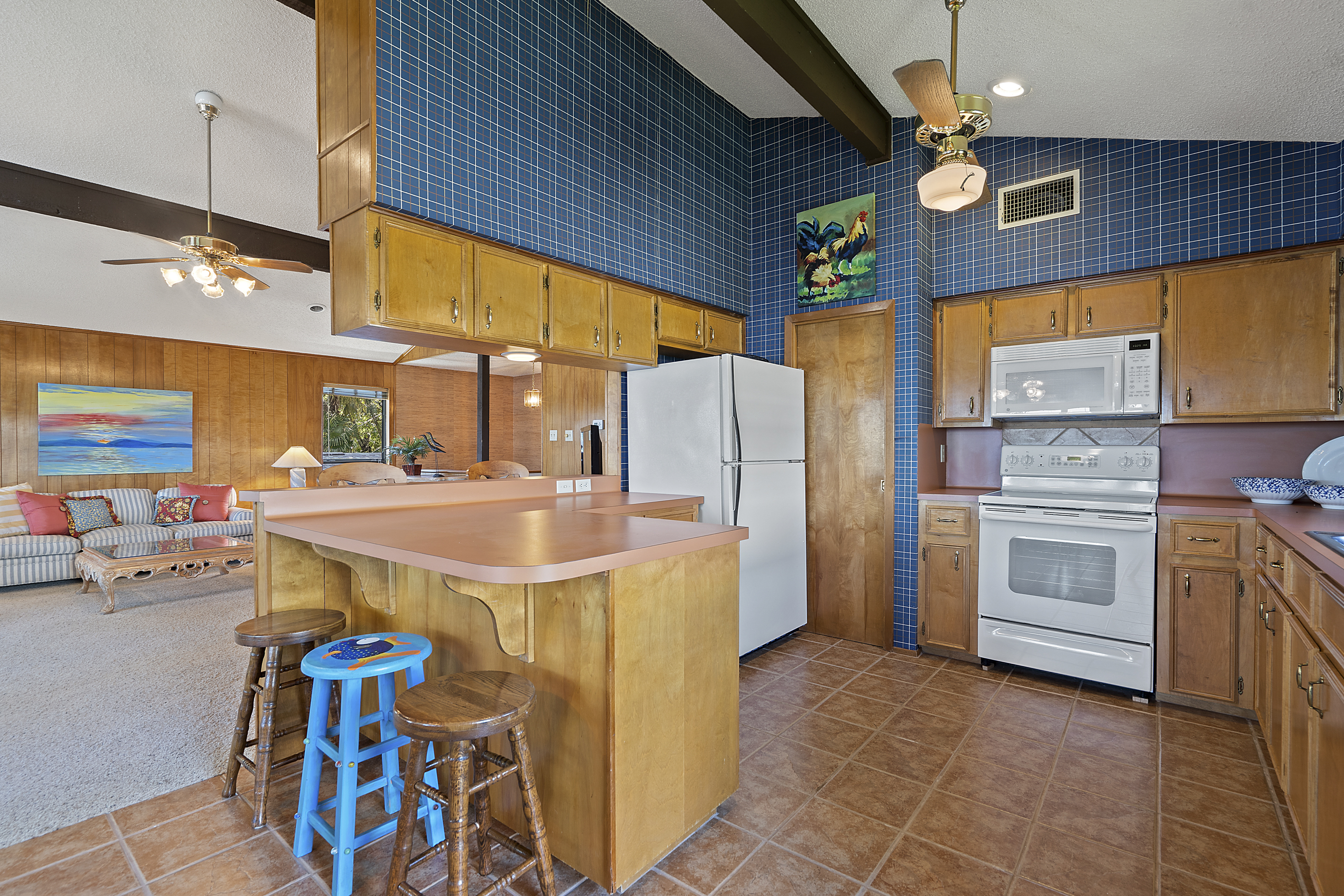  132 Web Isle // on Lake LBJ // Granite Shoals - 物件實景
