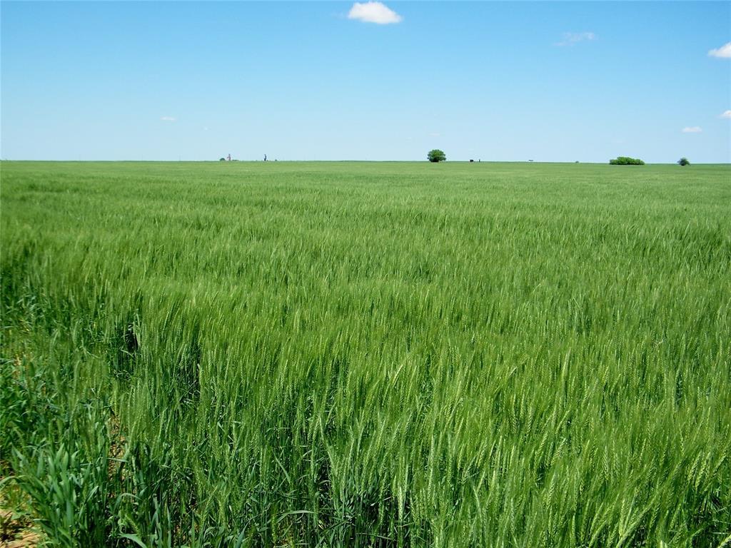 Kingfisher, Oklahoma, 73750, United States, ,Residential,For Sale,1982828