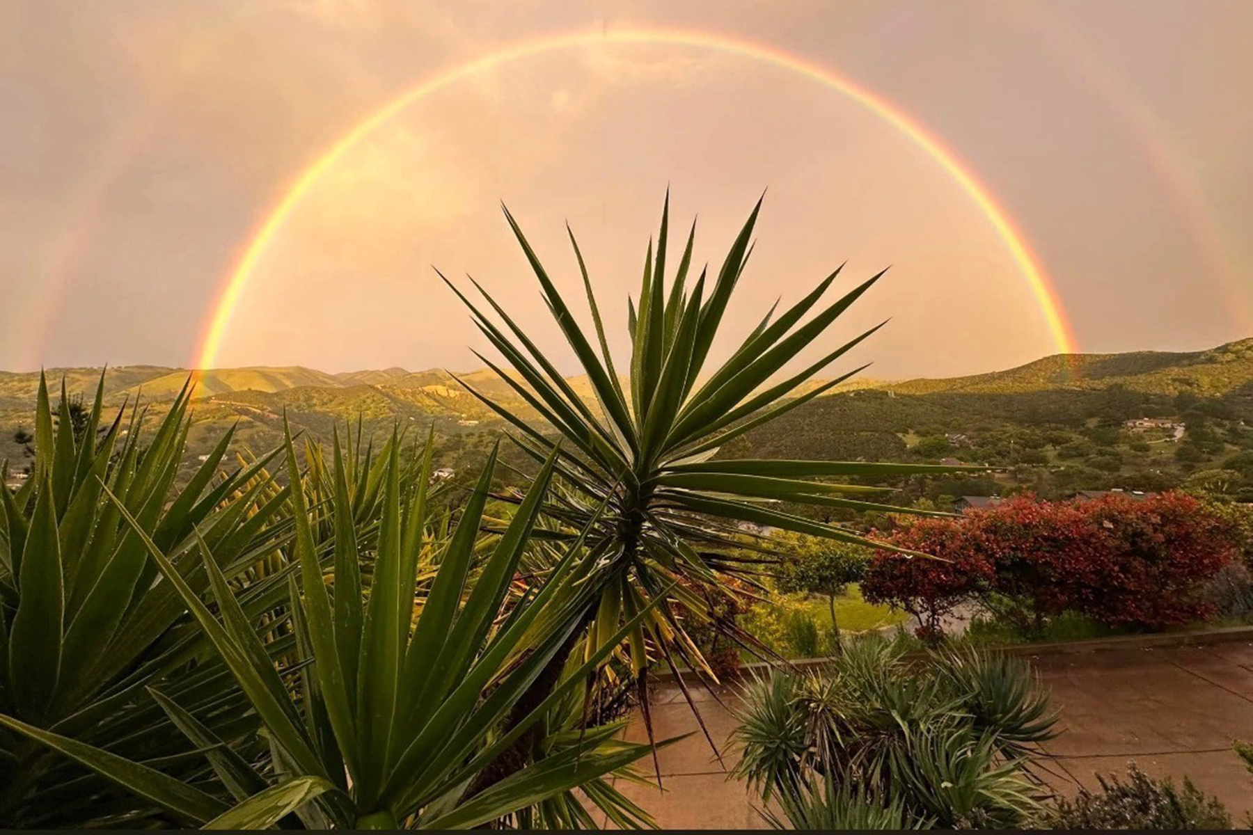  25983 High Terrace Lane, Salinas - 物件實景