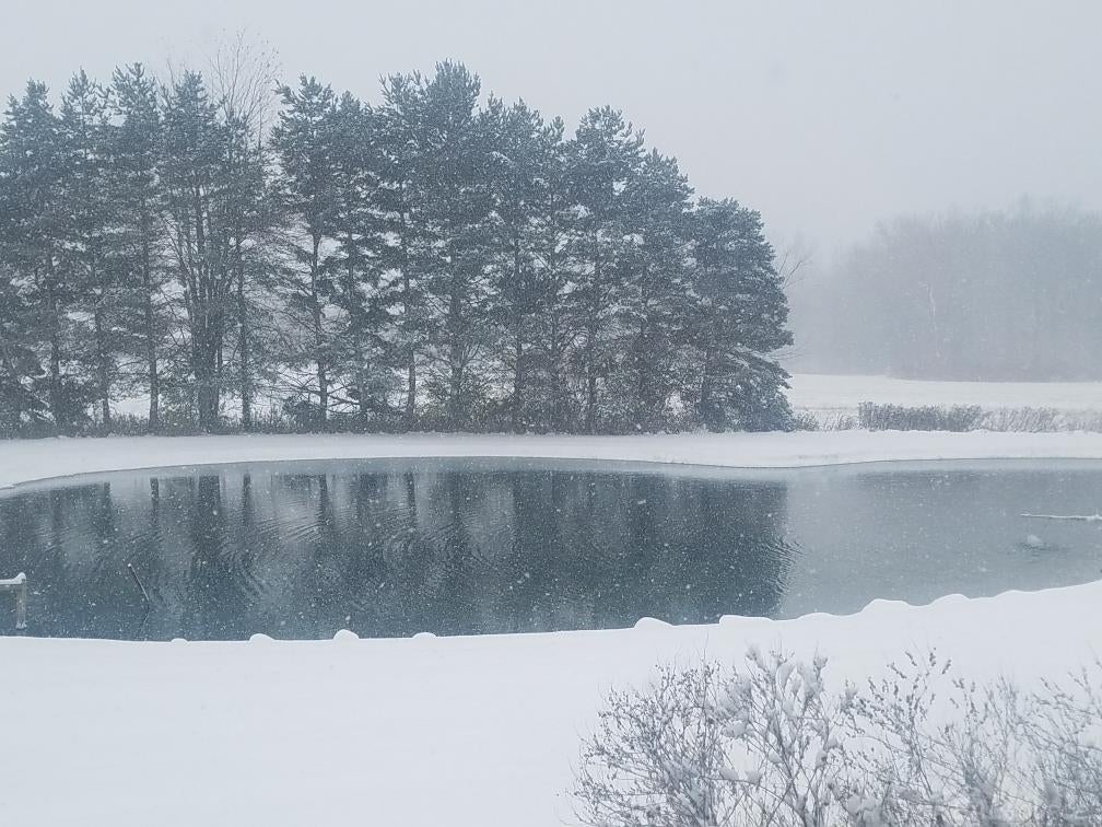 Armada, Michigan, 48005, United States, 4 Bedrooms Bedrooms, ,3 BathroomsBathrooms,Residential,For Sale,1994252