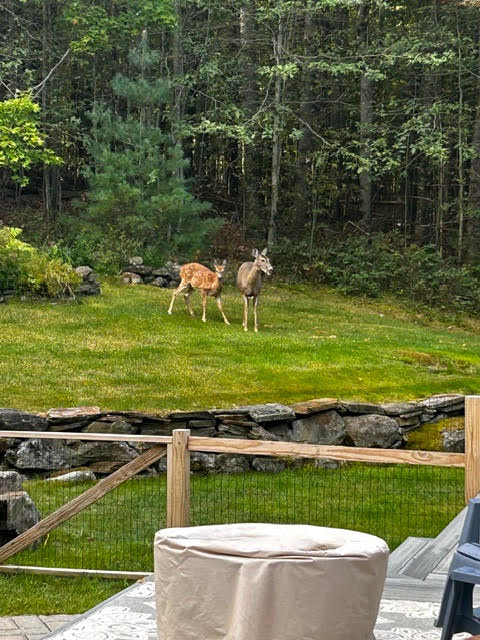 Sidney, Maine, 04330, United States, 3 Bedrooms Bedrooms, ,3 BathroomsBathrooms,Residential,For Sale,2007765