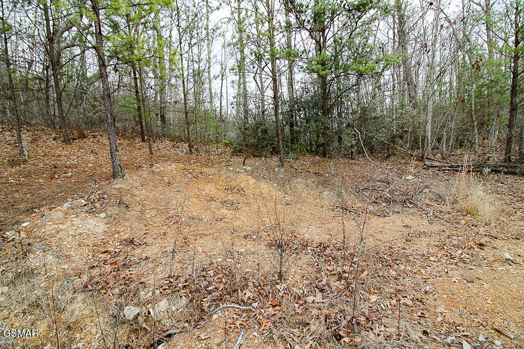 Sevierville, Tennessee, 37876, United States, ,Land,For Sale,2009102