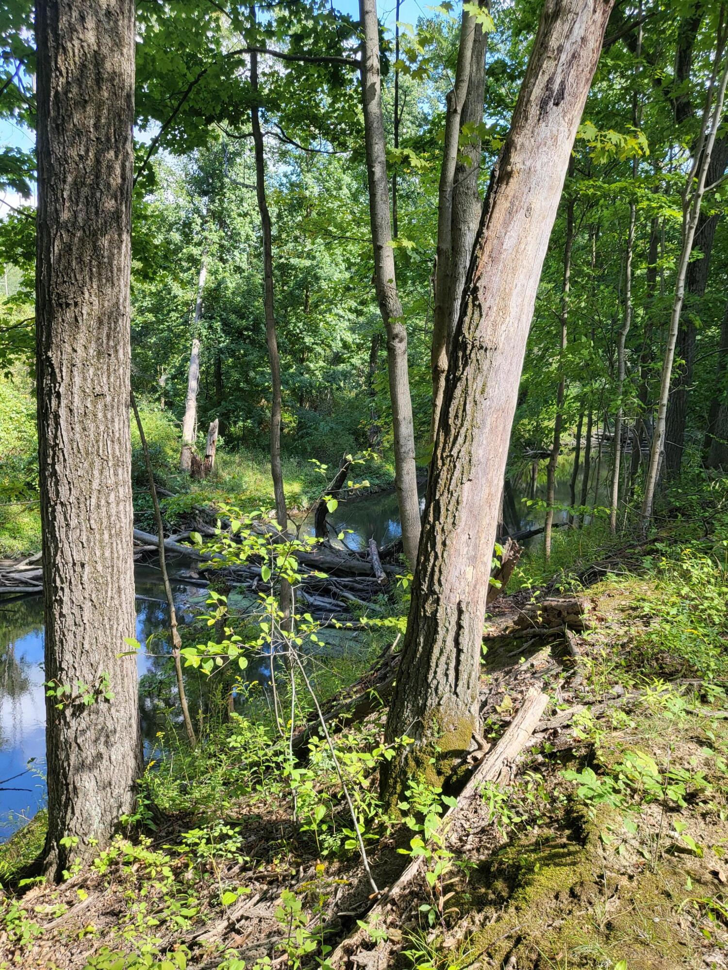 Union Pier, Michigan, 49129, United States, ,Land,For Sale,1988293