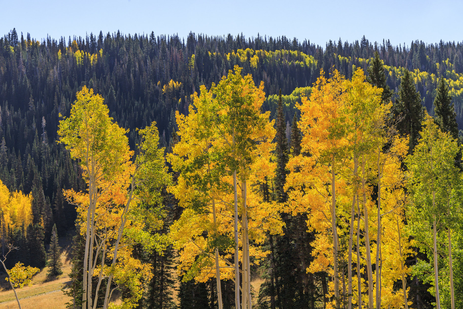  Incredible 28 Acre Estate Lot in the Colony at White Pine Canyon - 物件實景