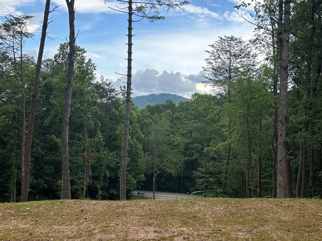 Mineral Bluff, Georgia, 30559, United States, 3 Bedrooms Bedrooms, ,3 BathroomsBathrooms,Residential,For Sale,1871294