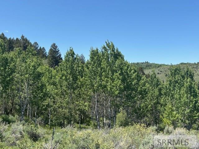 RIRIE, Idaho, 83443, United States, ,Residential,For Sale,1974893