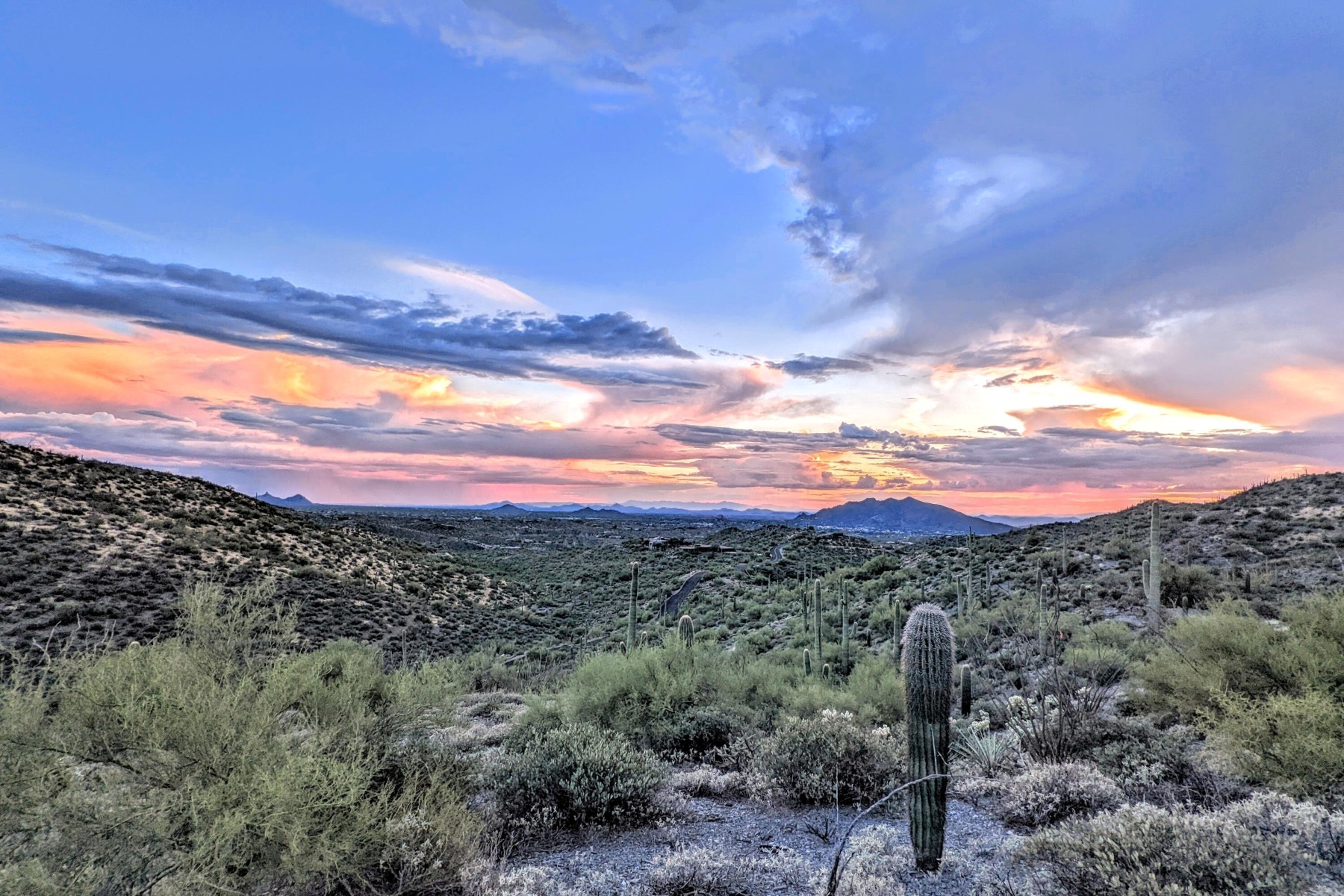  9146 E Limousin Drive¦Scottsdale, AZ - 物件實景