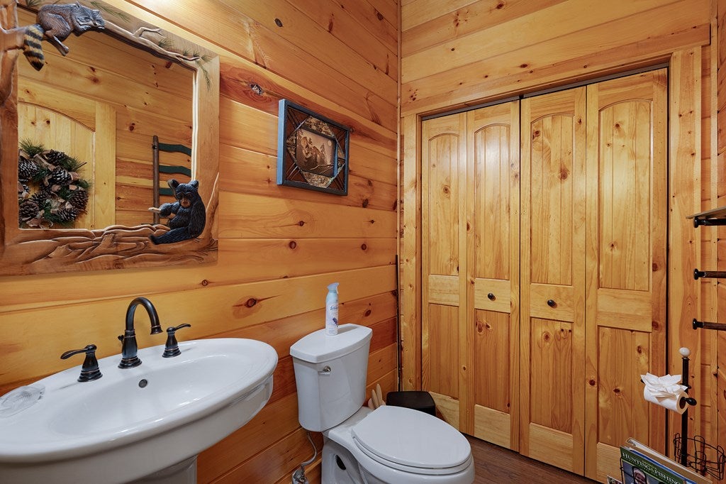 Ellijay, Georgia, 30540, United States, 3 Bedrooms Bedrooms, ,3 BathroomsBathrooms,Residential,For Sale,1999878