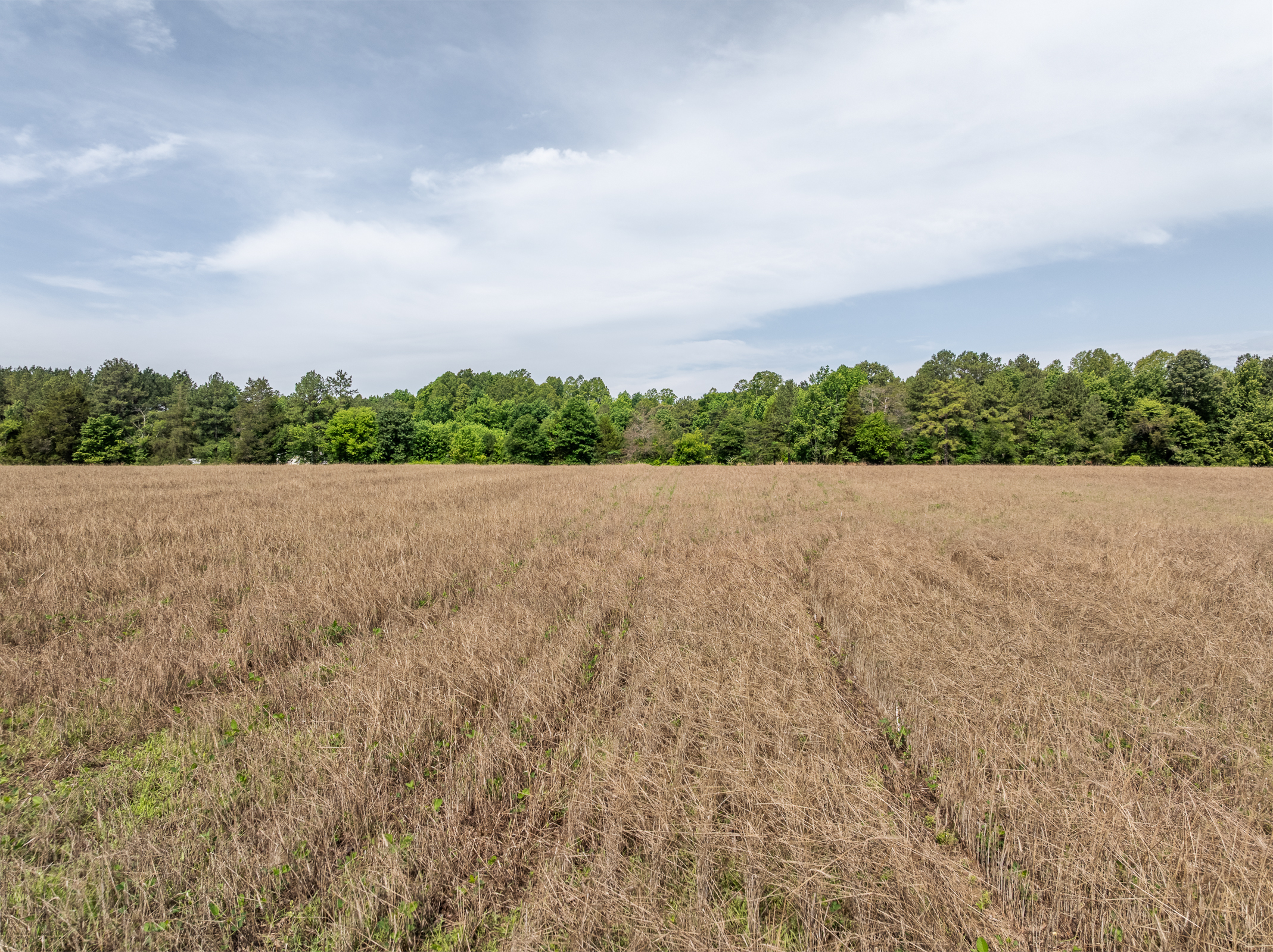  20483 Point Eastern Drive, Caroline, VA 22546 - 物件實景