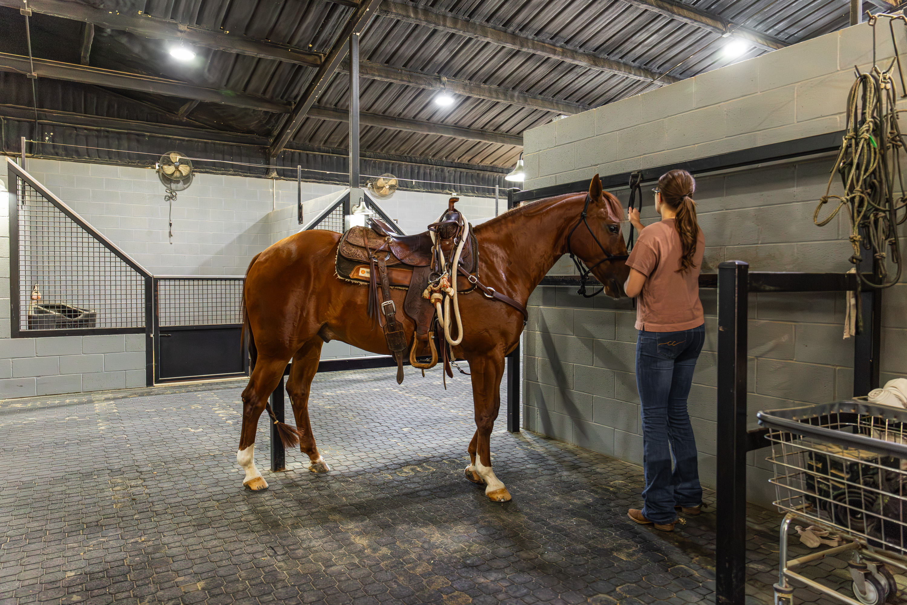  Walnut Creek Horse Farm - 物件實景