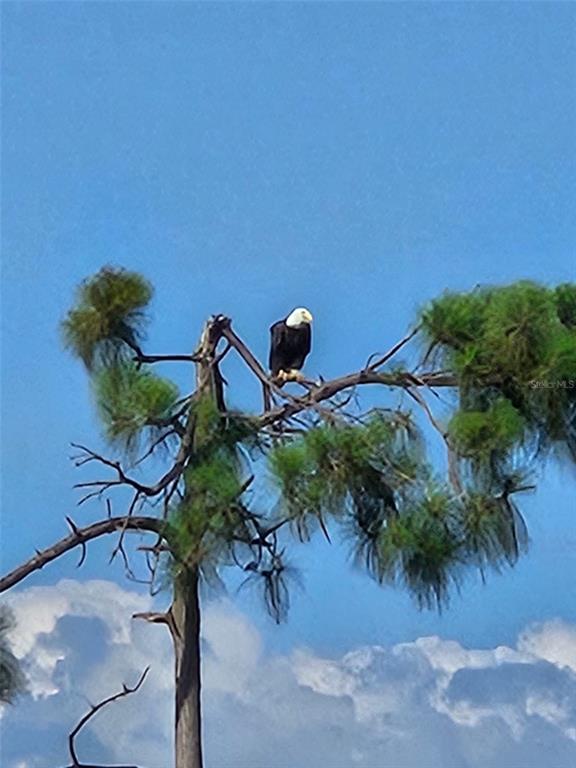 Punta Gorda, Florida, 33982, United States, 3 Bedrooms Bedrooms, ,3 BathroomsBathrooms,Residential,For Sale,1957276