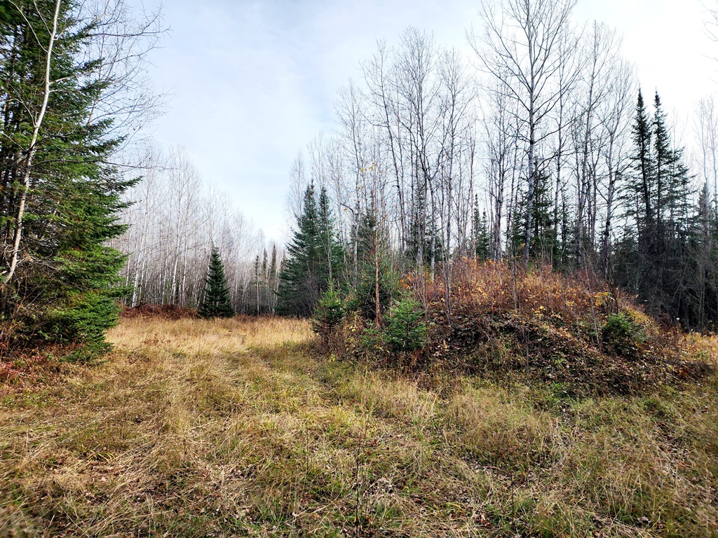 Grand Rapids, Minnesota, 55744, United States, ,Land,For Sale,1983791