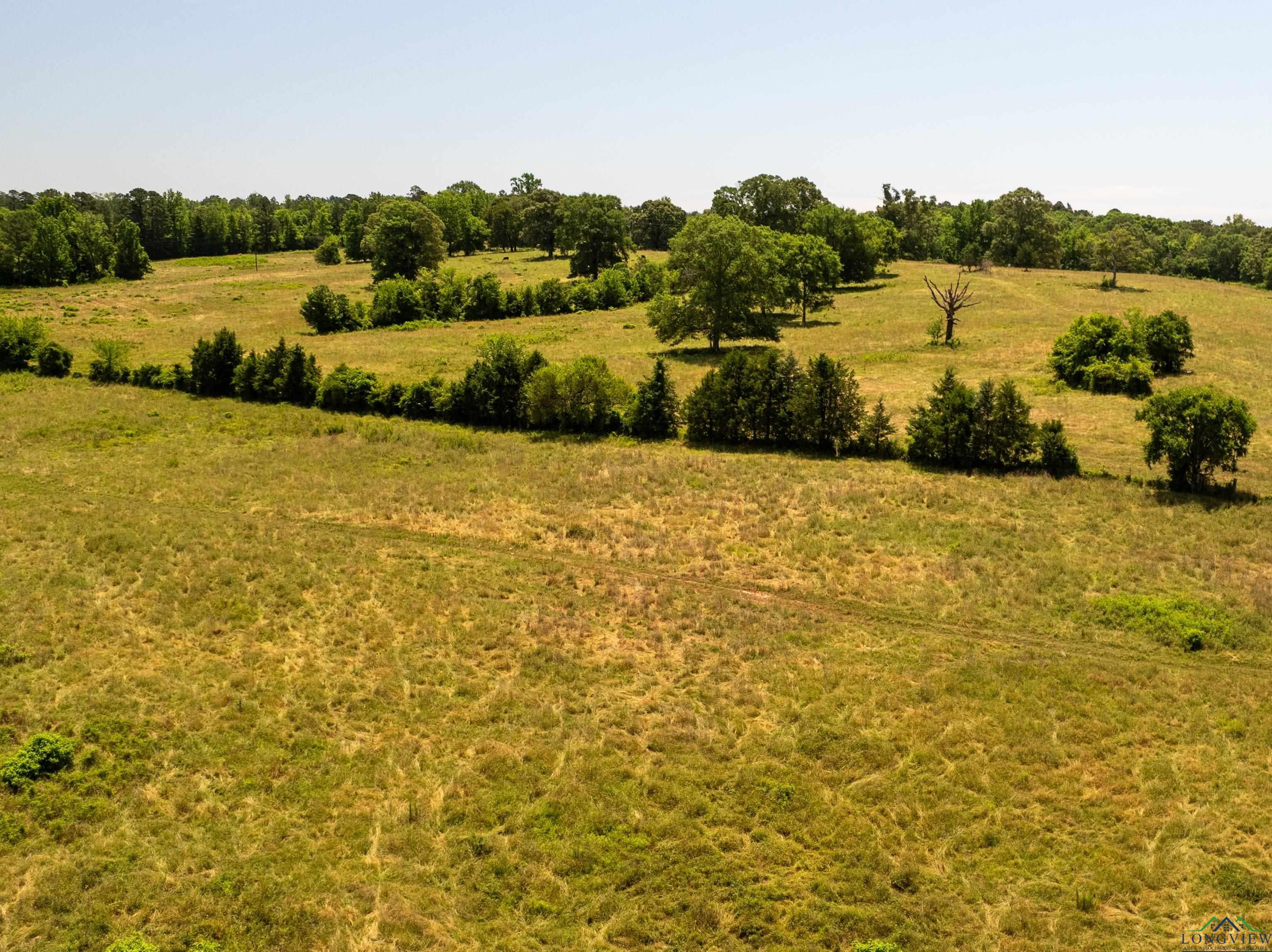 7557 FM 248, Lodi, Texas, 75564, United States, ,Residential,For Sale,7557 FM 248,1614560