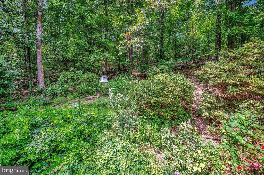 Stafford, Virginia, 22554, United States, 5 Bedrooms Bedrooms, ,4 BathroomsBathrooms,Residential,For Sale,1938309
