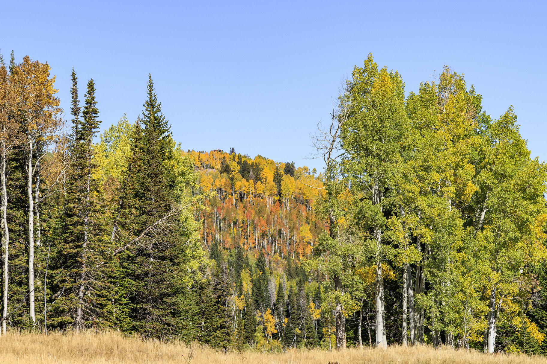  Incredible 28 Acre Estate Lot in the Colony at White Pine Canyon - 物件實景