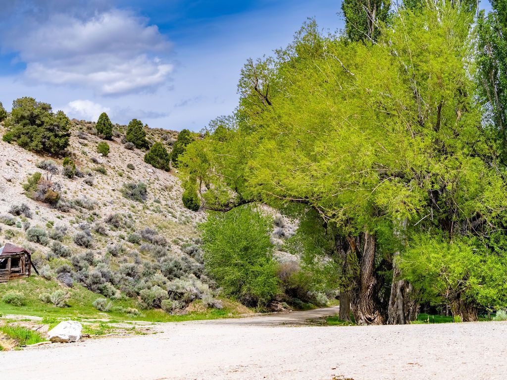 Ely, Nevada, 89301, United States, 2 Bedrooms Bedrooms, ,1 BathroomBathrooms,Residential,For Sale,1827085