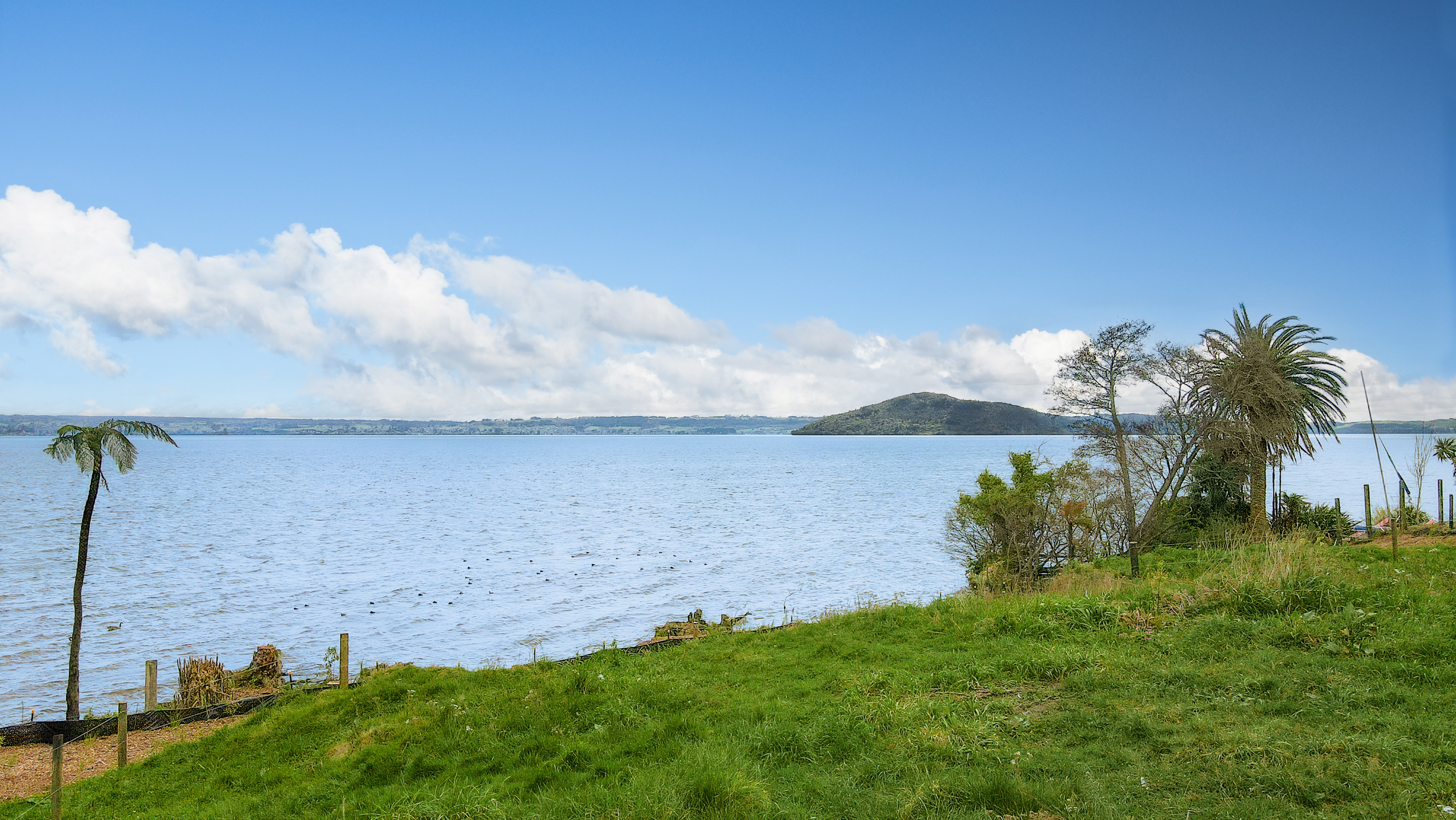  Lakefront Living at Hinemoa Point - 物件實景