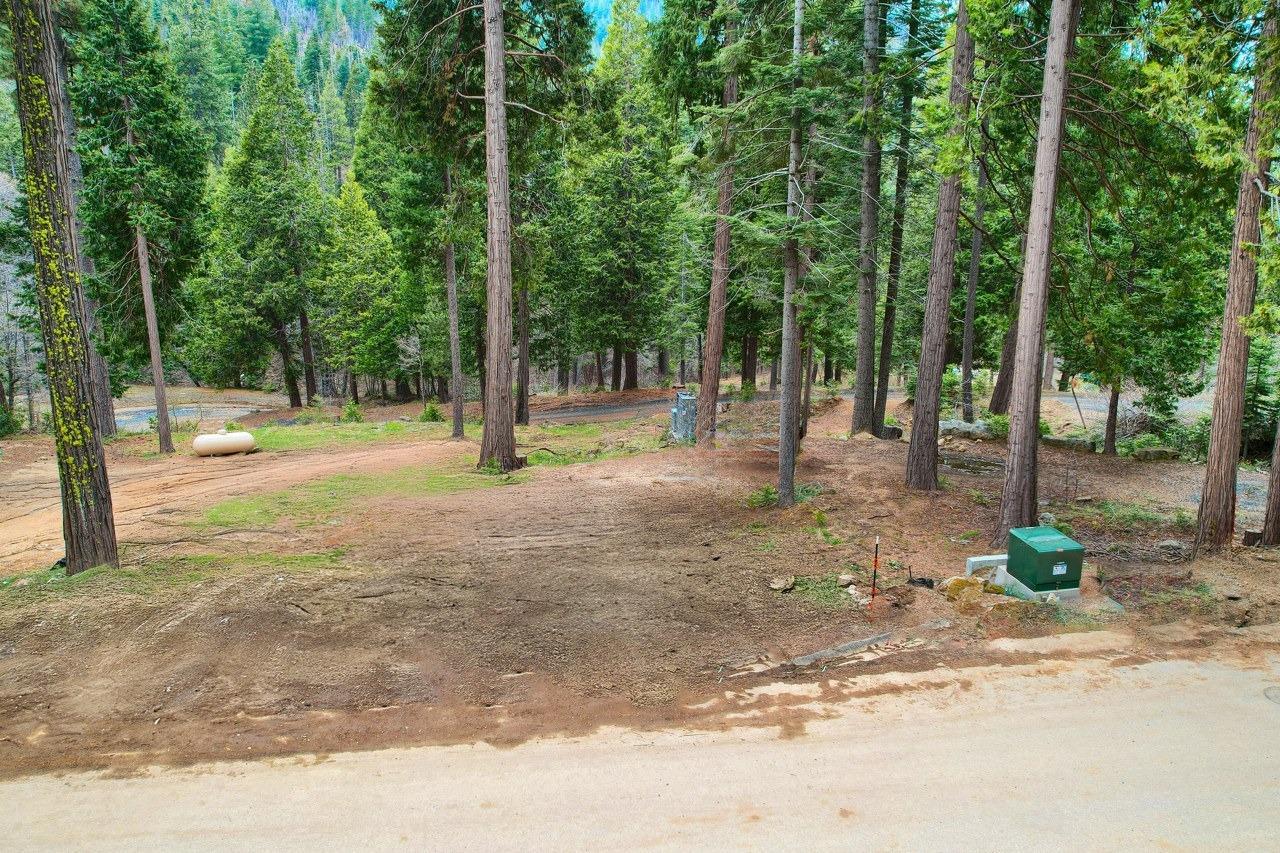 Yosemite, California, 95389, United States, ,Residential,For Sale,1791701