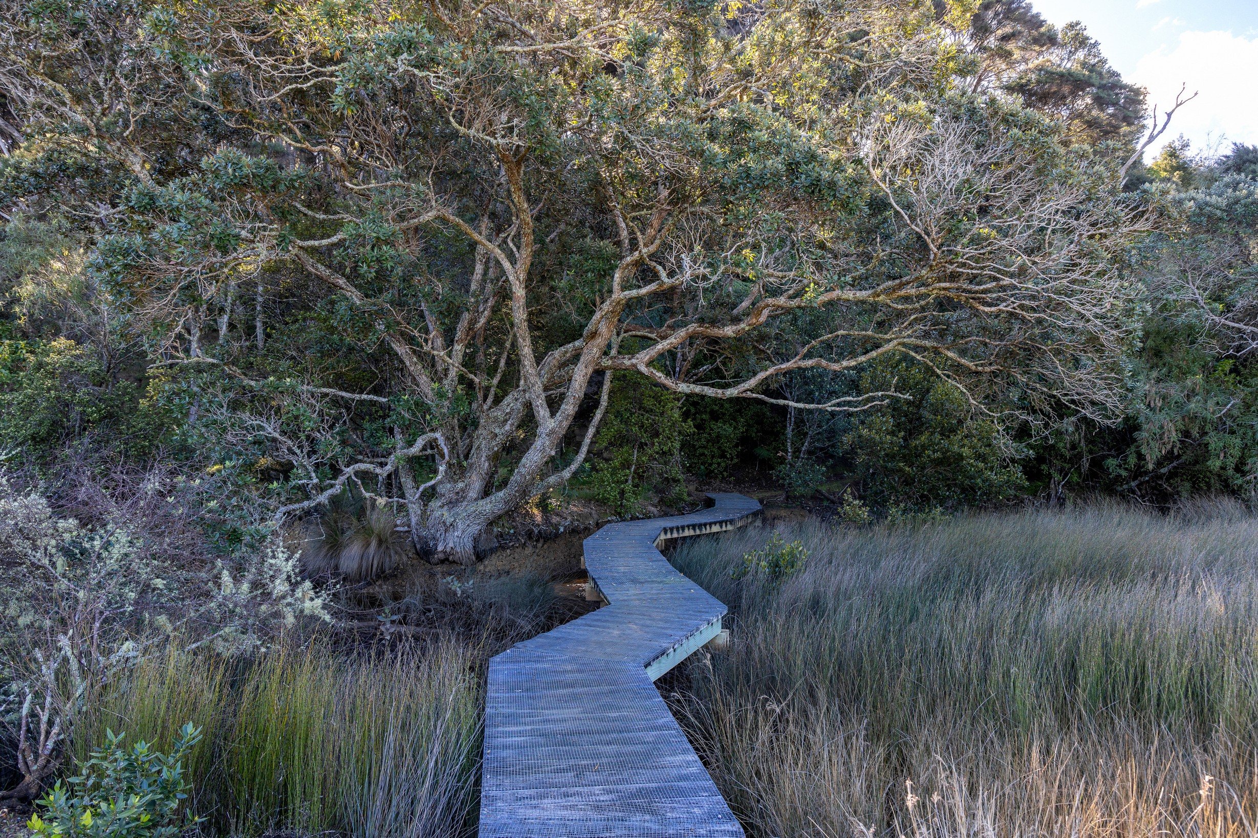  50 & 88 cowes Bay Road, Cowes Bay, Waiheke Island - 物件實景