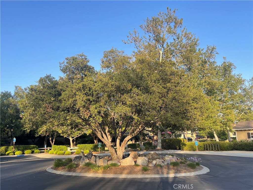 Murrieta, California, 92562, United States, 3 Bedrooms Bedrooms, ,4 BathroomsBathrooms,Residential,For Sale,1880492
