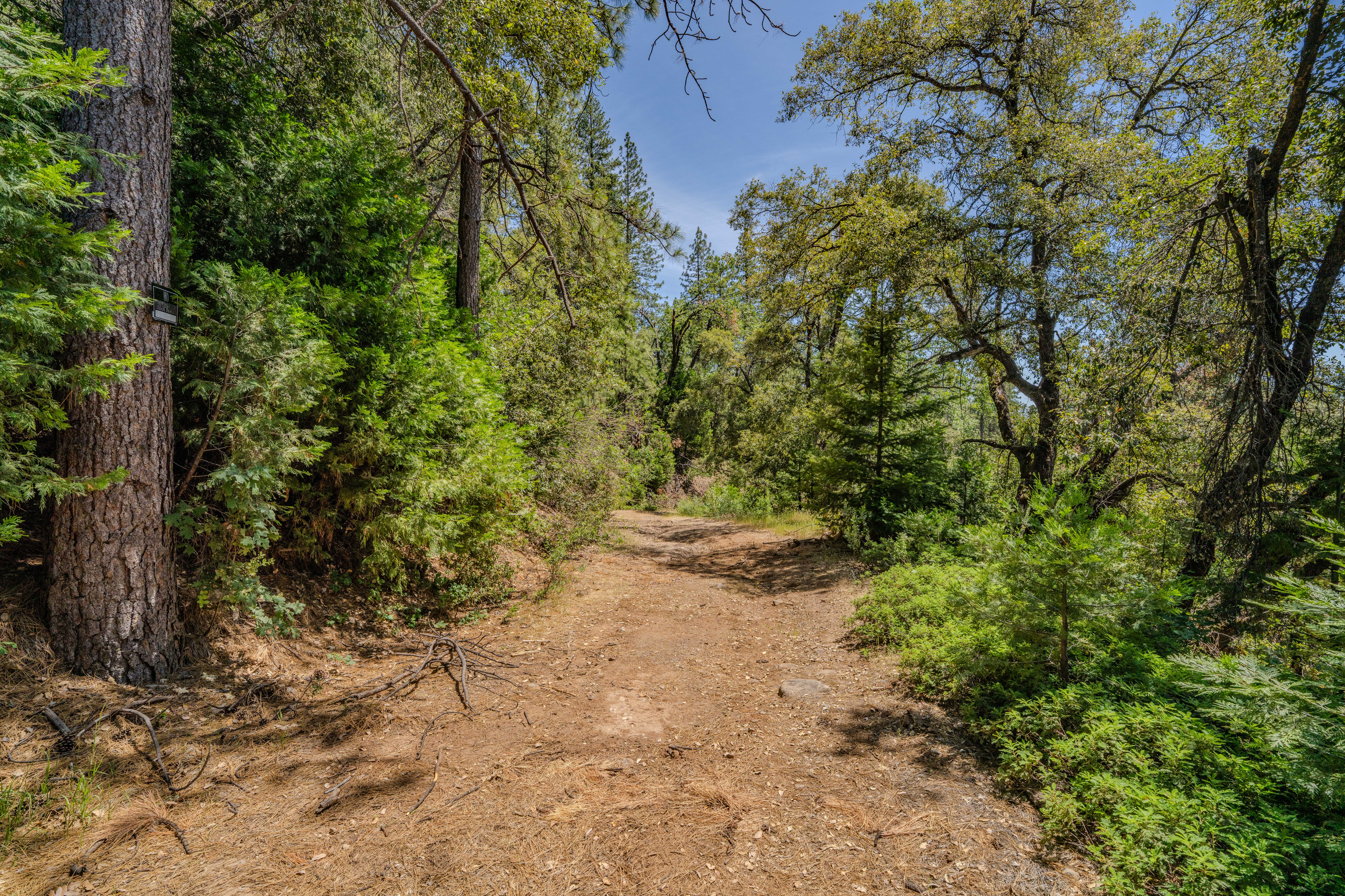  24100 Canterbury Road, Pioneer, CA 95666 - 物件實景