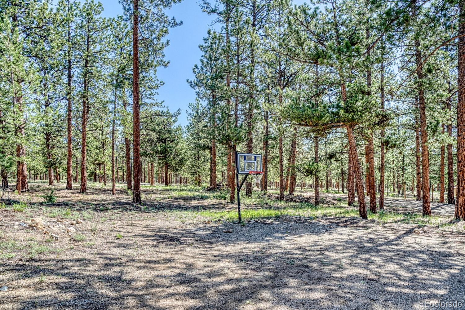 Buena Vista, Colorado, 81211, United States, 6 Bedrooms Bedrooms, ,5 BathroomsBathrooms,Residential,For Sale,1977574