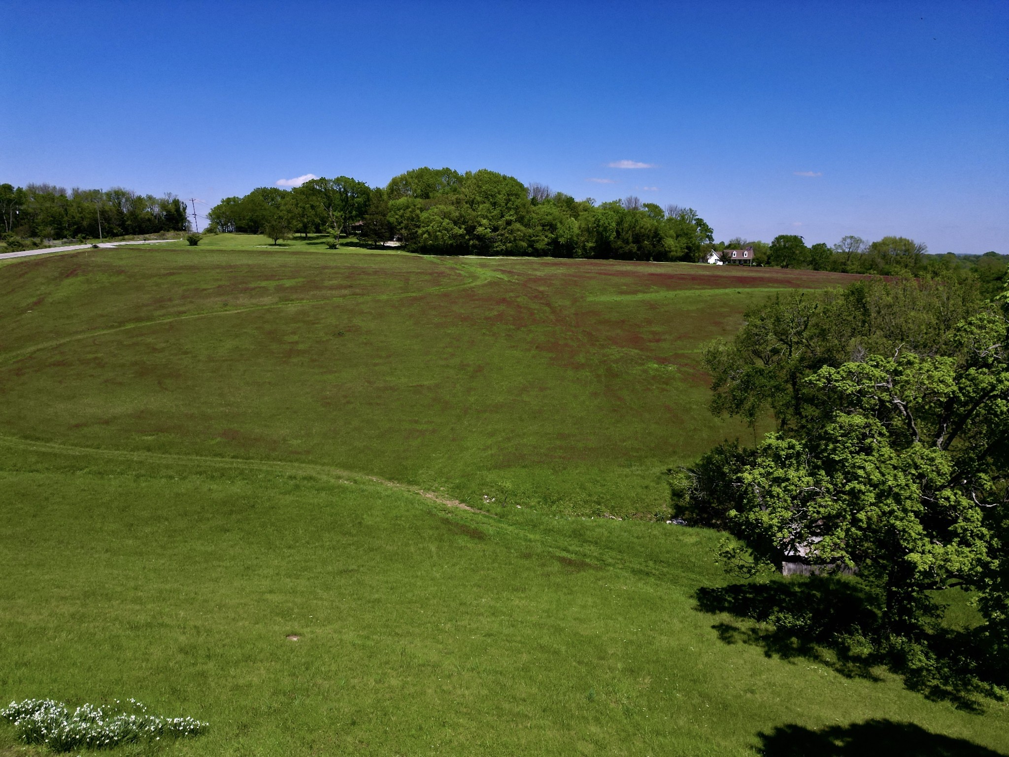  9591 Clovercroft Rd Lot 2, Franklin, TN, 37067 - 物件實景