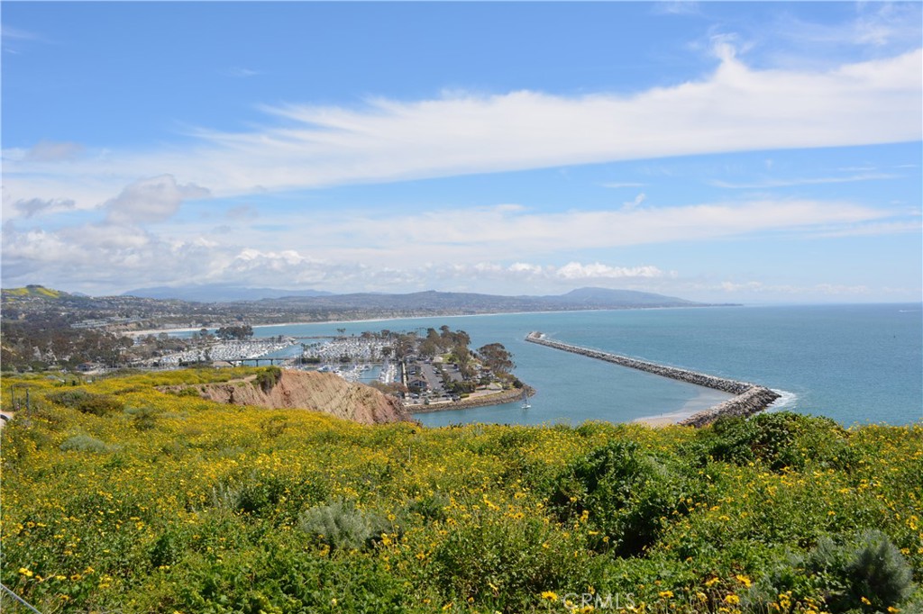Dana Point, California, 92629, United States, ,Residential,For Sale,1924804