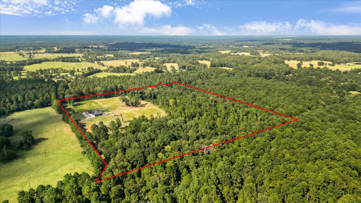 Long Branch, Texas, 75669, United States, 4 Bedrooms Bedrooms, ,4 BathroomsBathrooms,Residential,For Sale,1908688