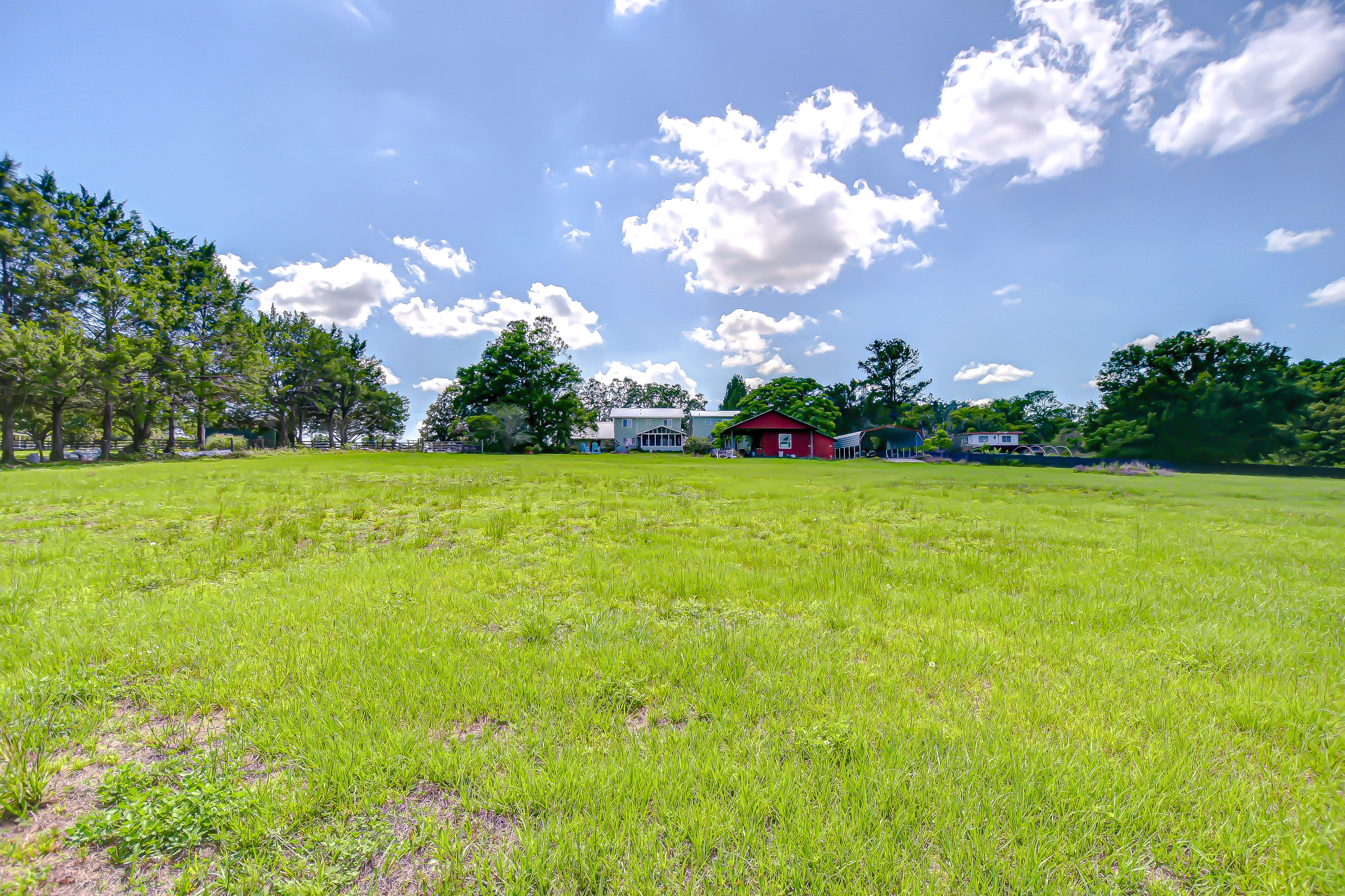 Dade City, Florida, 33523, United States, 4 Bedrooms Bedrooms, ,3 BathroomsBathrooms,Residential,For Sale,1873323