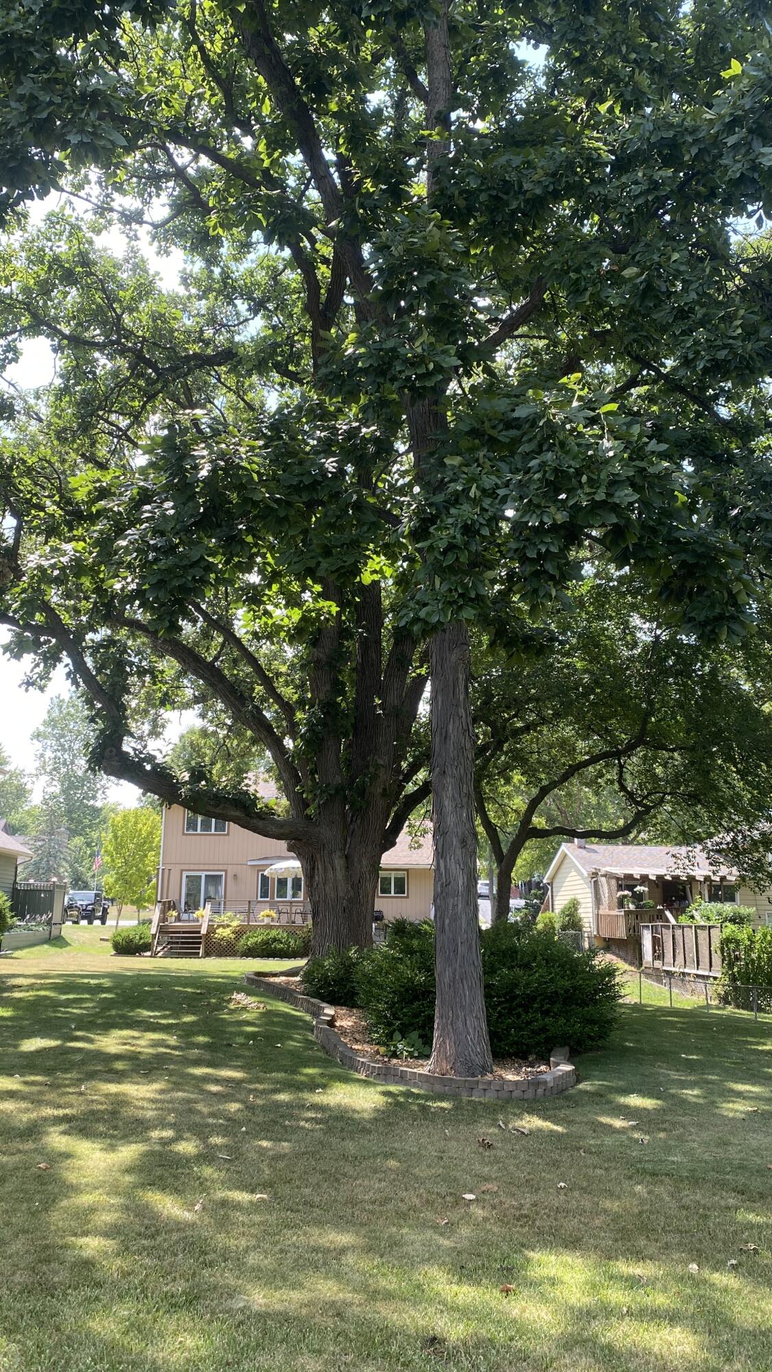 Crown Point, Indiana, 46307, United States, 4 Bedrooms Bedrooms, ,3 BathroomsBathrooms,Residential,For Sale,1924051
