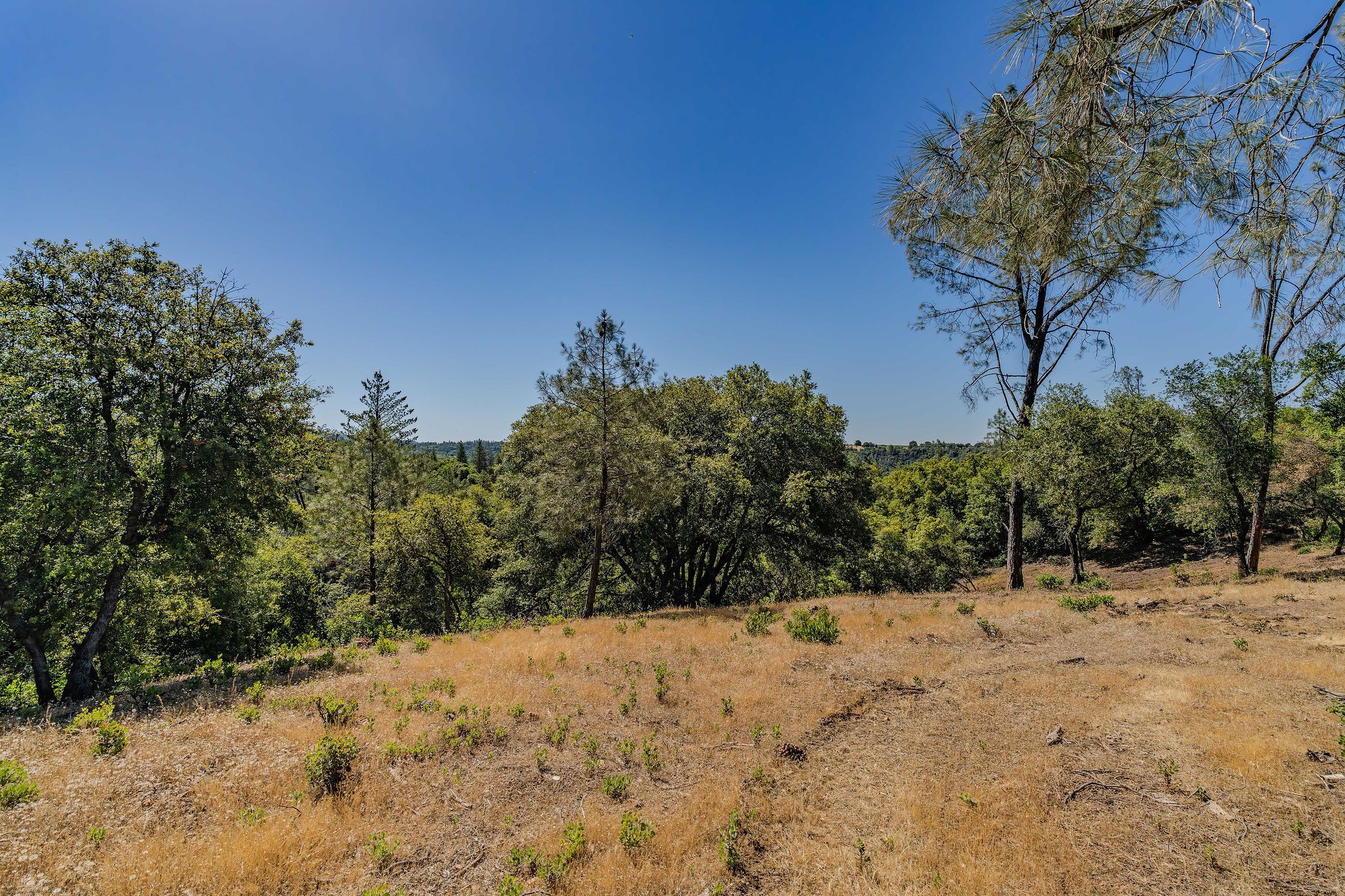 Sutter Highlands Drive, Sutter Creek, CA 95685 - 物件實景