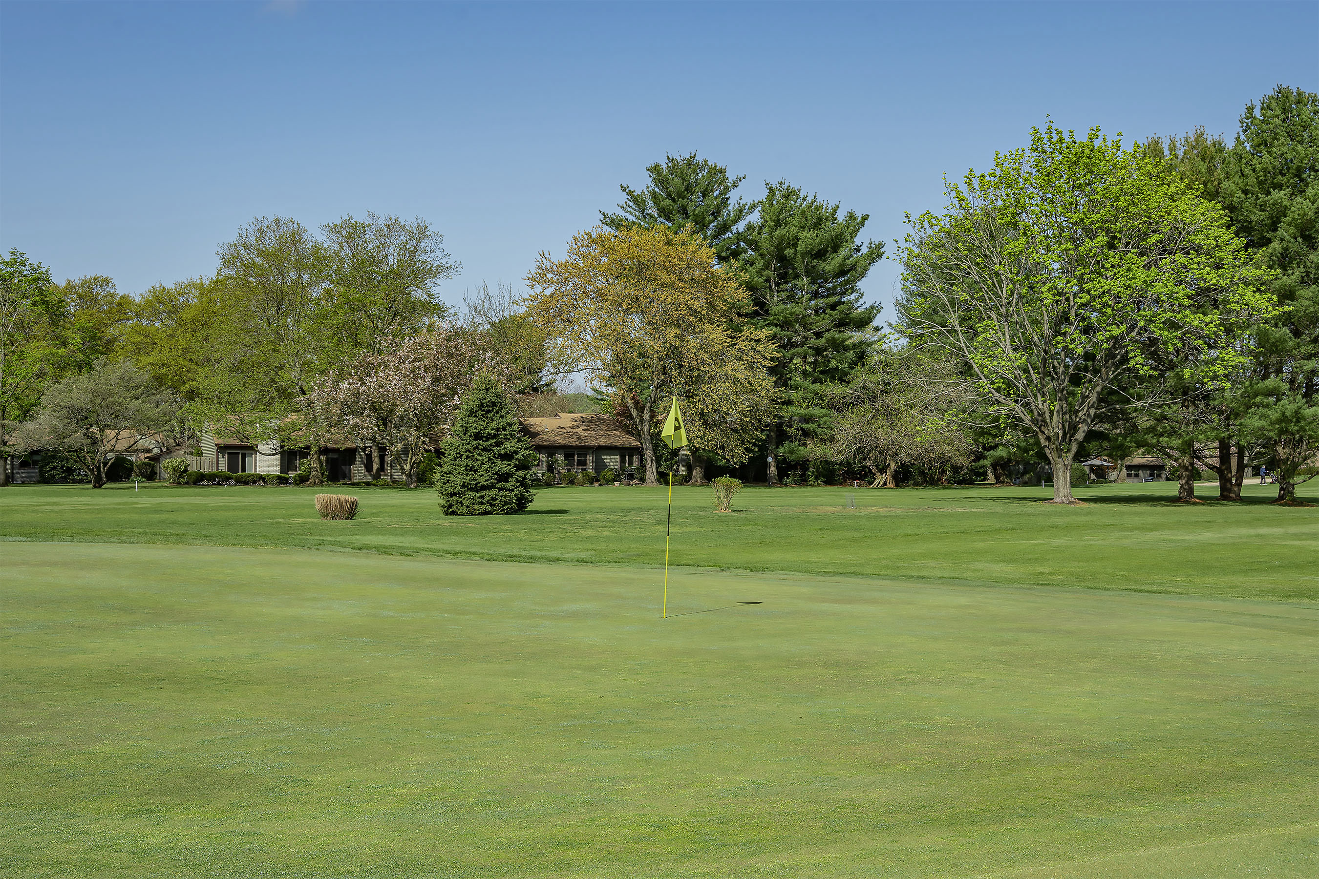  98C Berkshire Court - 物件實景