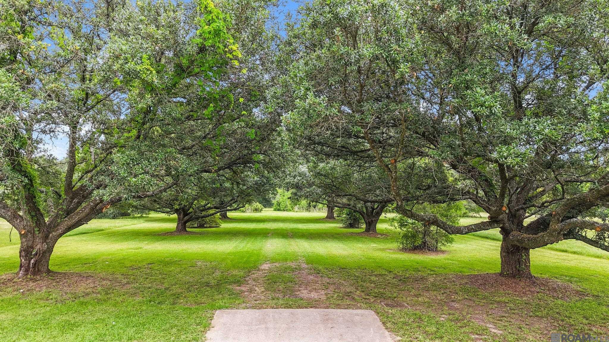 Baton Rouge, Louisiana, 70811, United States, ,Land,For Sale,1976430