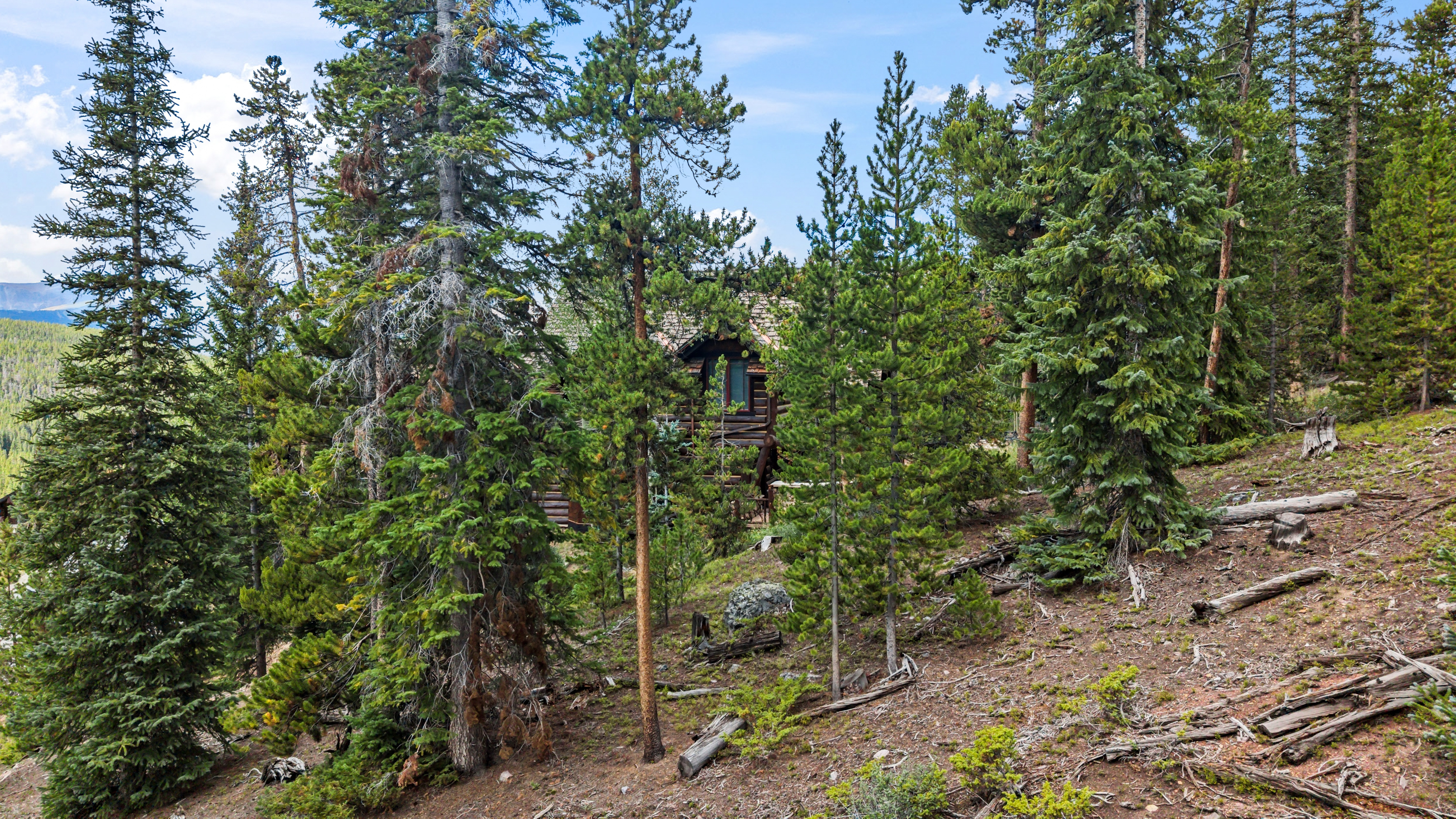  Set in the Desirable Goldenview Neighborhood of Breckenridge - 物件實景