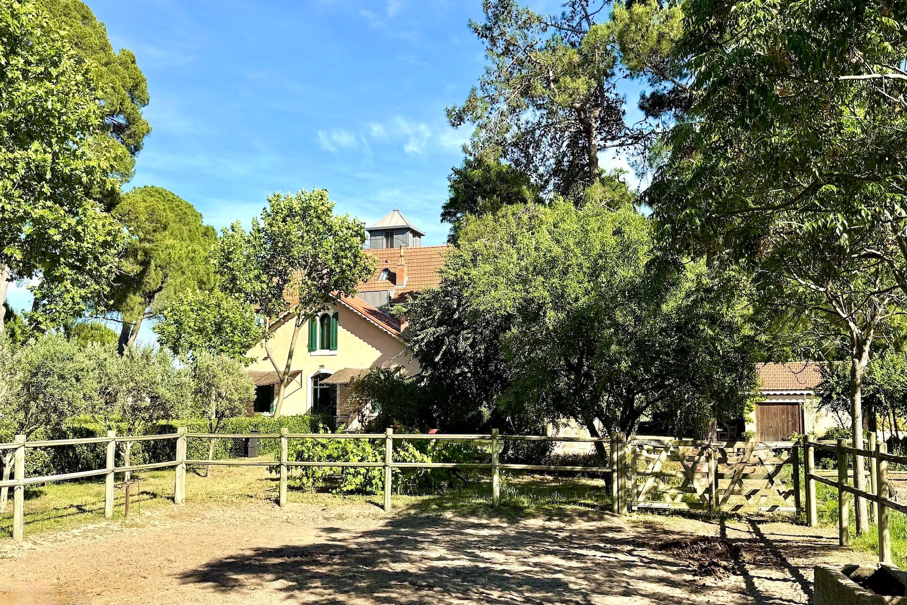  Exceptional Property Near Aigues-Mortes - 物件實景