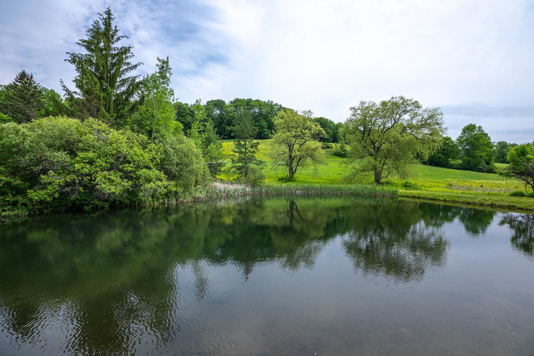  5798 South Road - 物件實景