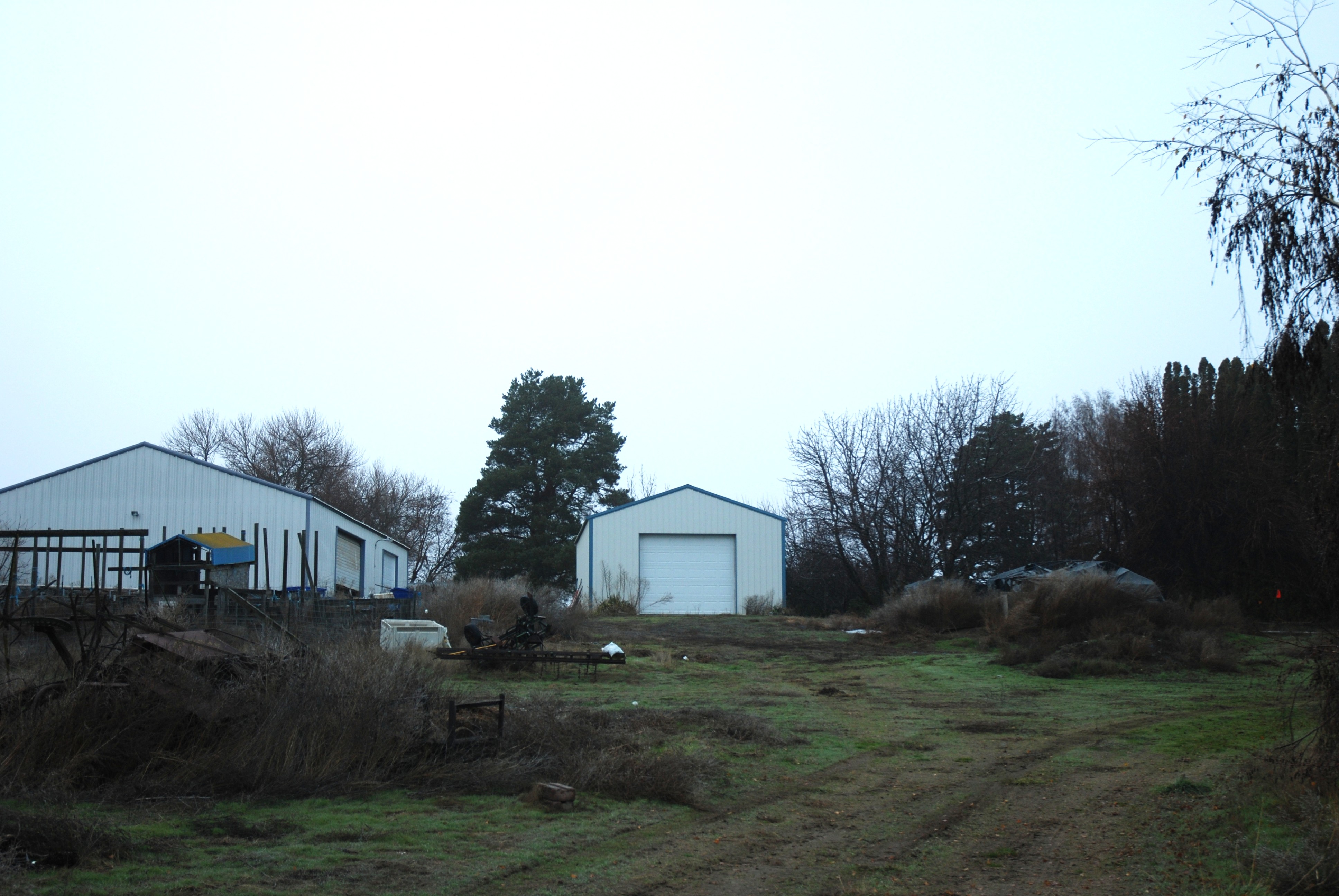 Warden, Washington, 98857, United States, 4 Bedrooms Bedrooms, ,1 BathroomBathrooms,Residential,For Sale,2006383