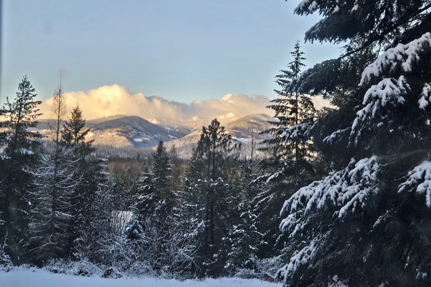  1861 Samuels Rd Sandpoint - 物件實景