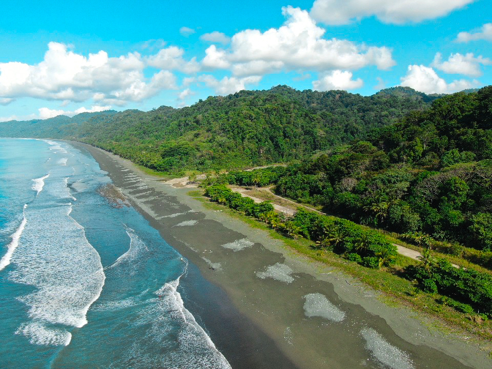 Osa Peninsula, Carate, Cabo Matapalo, Puntarenas, CR, ,Land,For Sale,Osa Peninsula, Carate,1585857