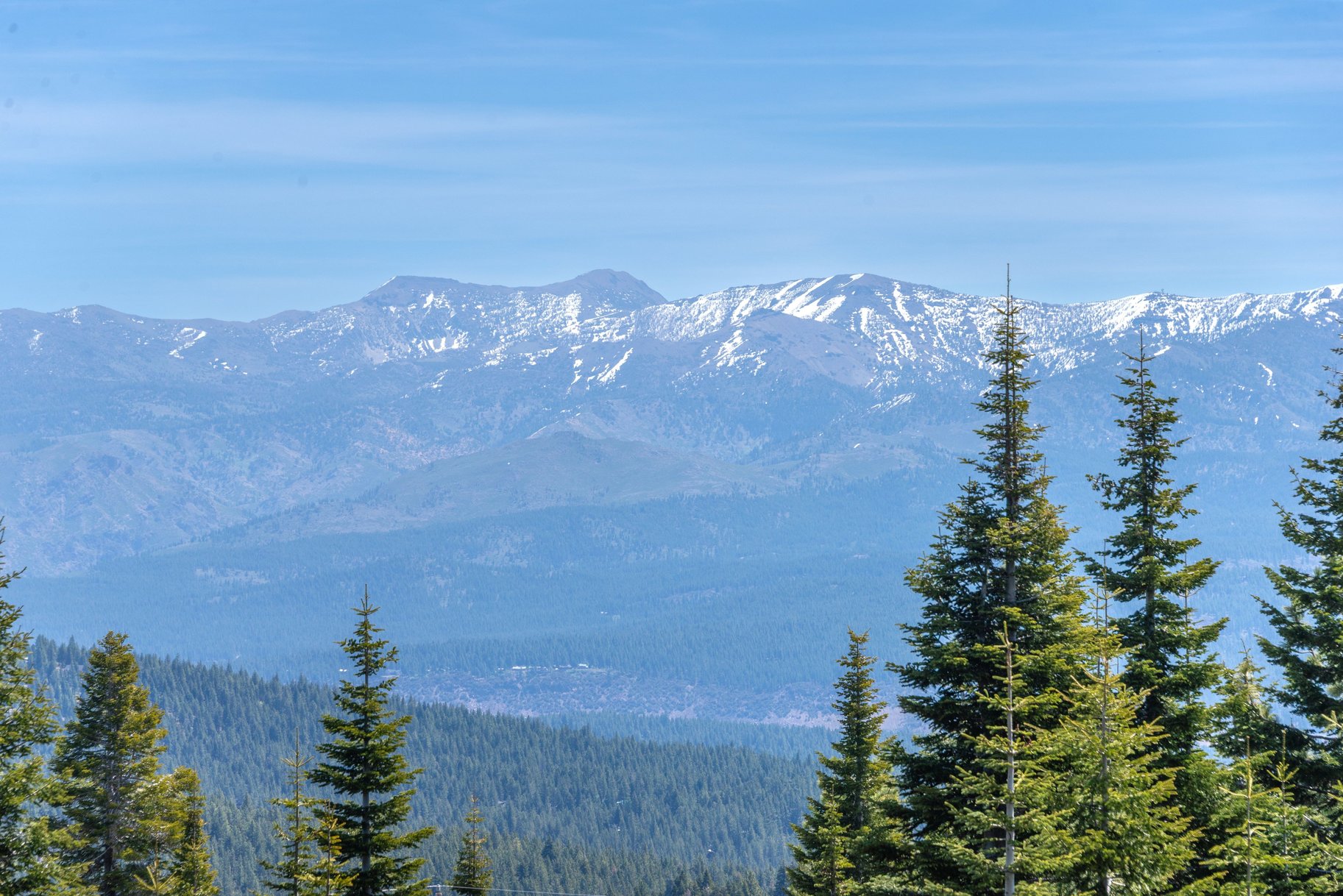  Beautiful Log Home with Carson Range Views from Every Floor - 物件實景