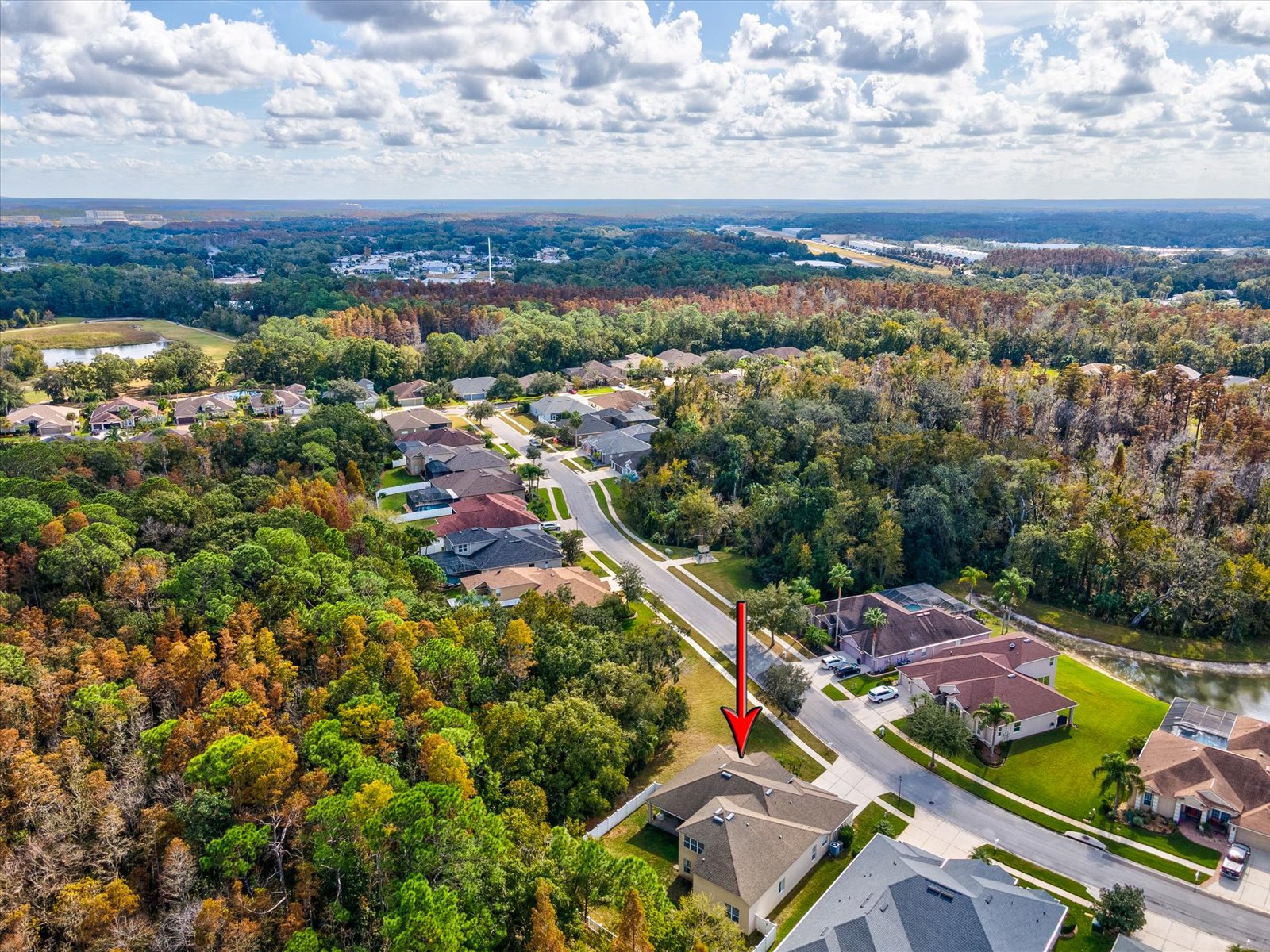 Wesley Chapel, Florida, 33544, United States, 4 Bedrooms Bedrooms, ,5 BathroomsBathrooms,Residential,For Sale,2000097