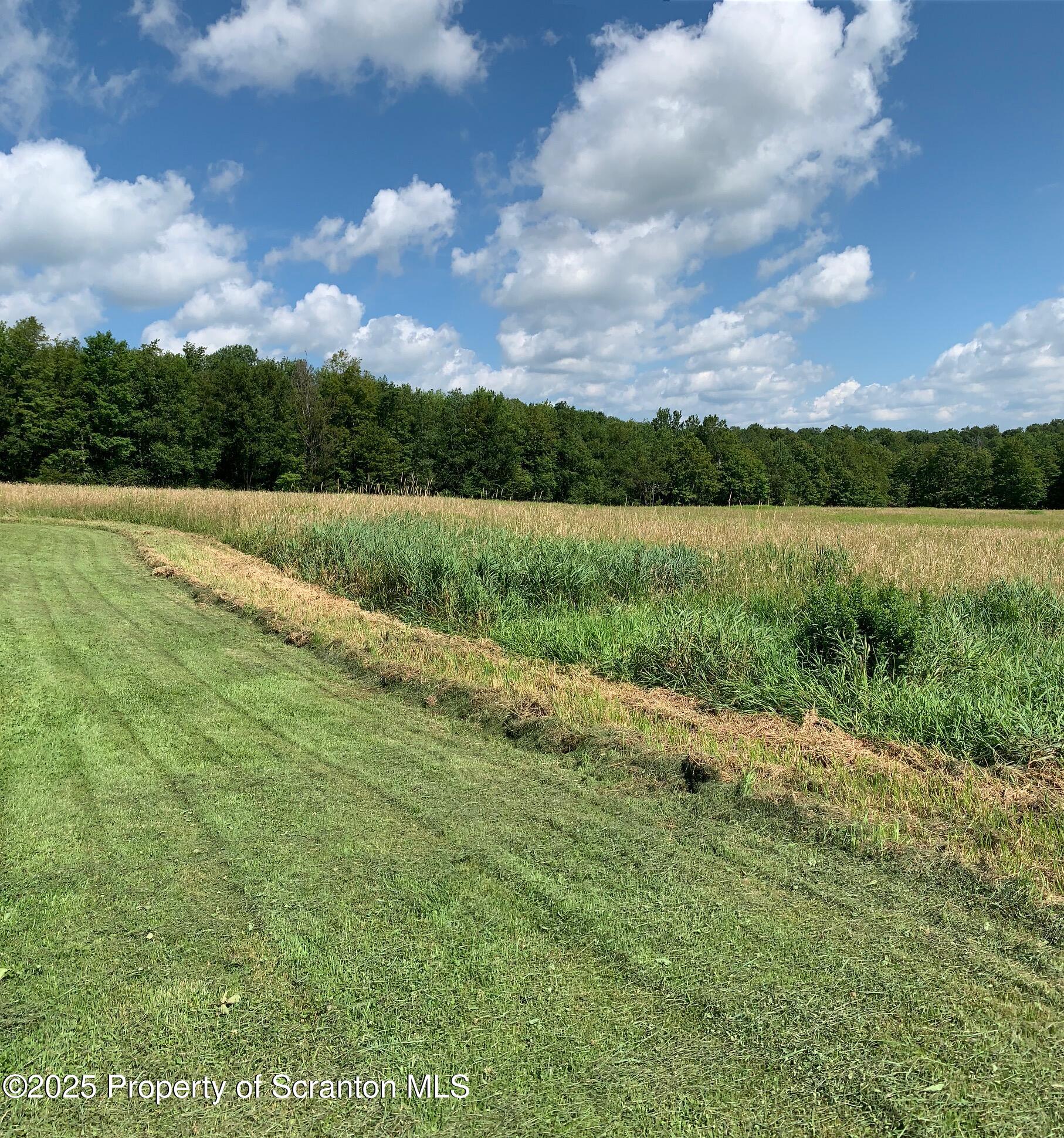 Union Dale, Pennsylvania, 18470, United States, ,Land,For Sale,1975755