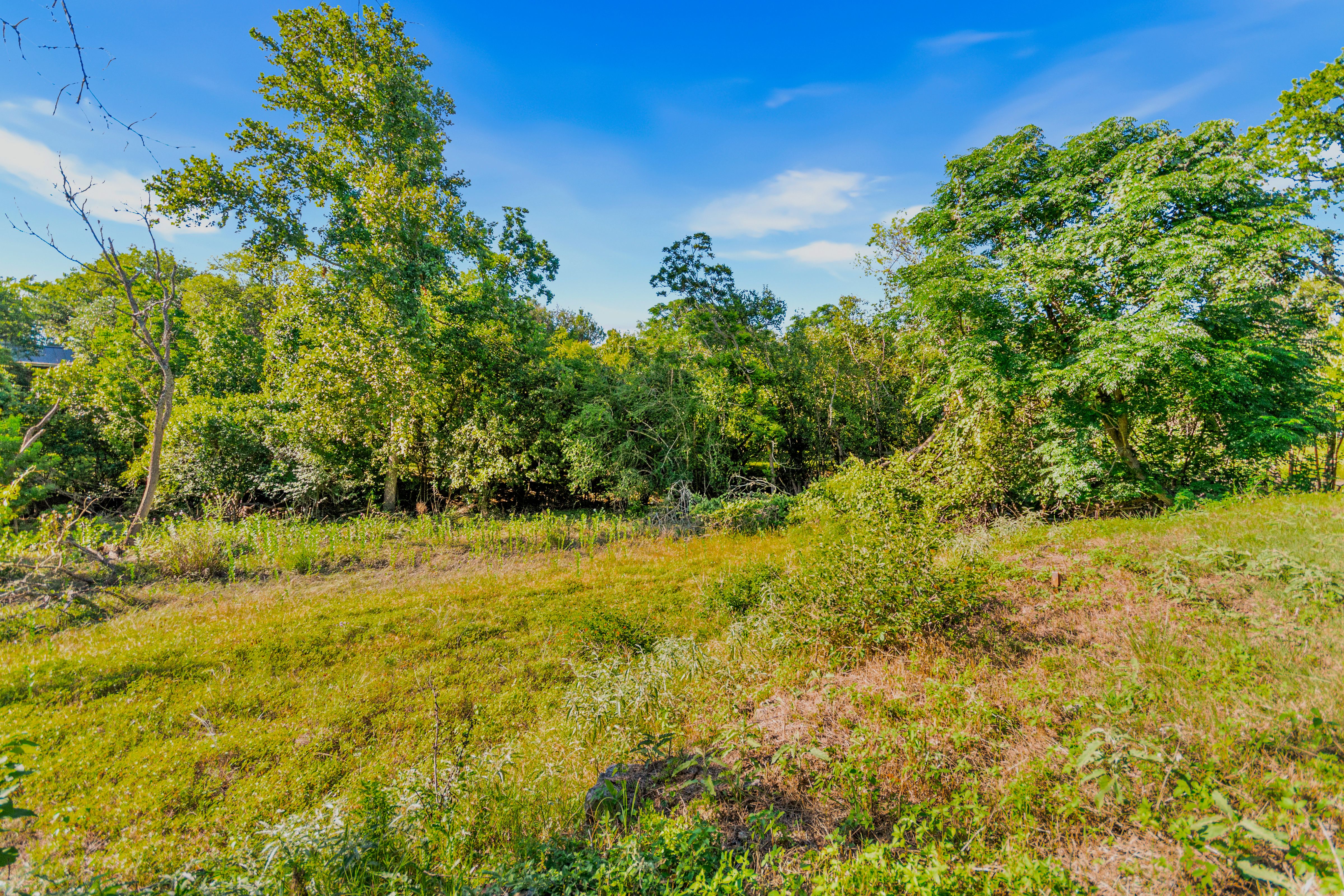  Beautiful Lot In The Heart Of Boerne - 物件實景