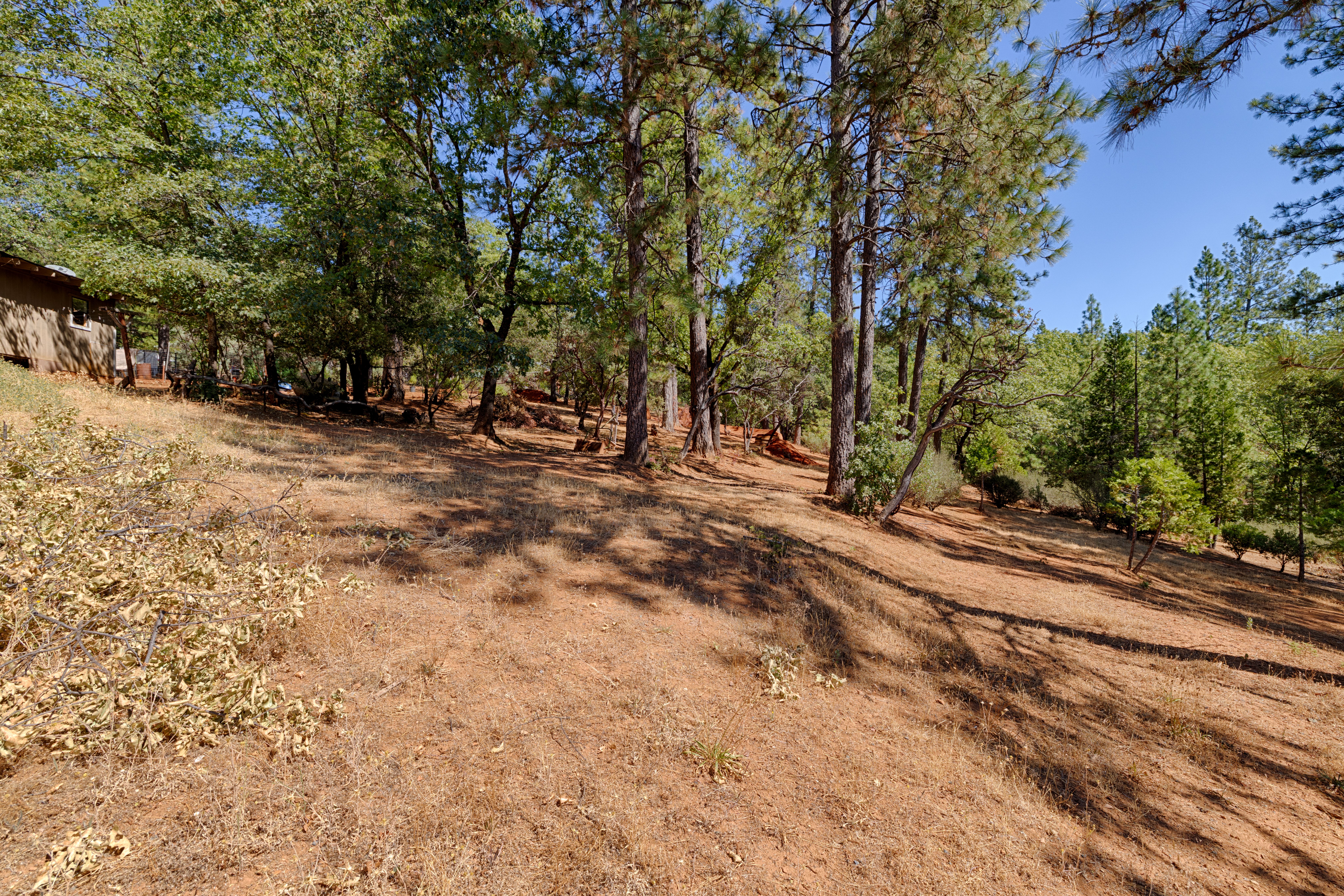  5540 Pine Ridge Rd., Foresthill, CA, 95631 - 物件實景