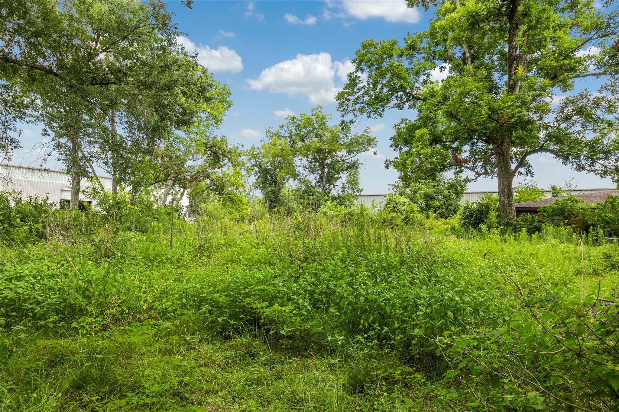  616 Spring Cypress Road - 物件實景