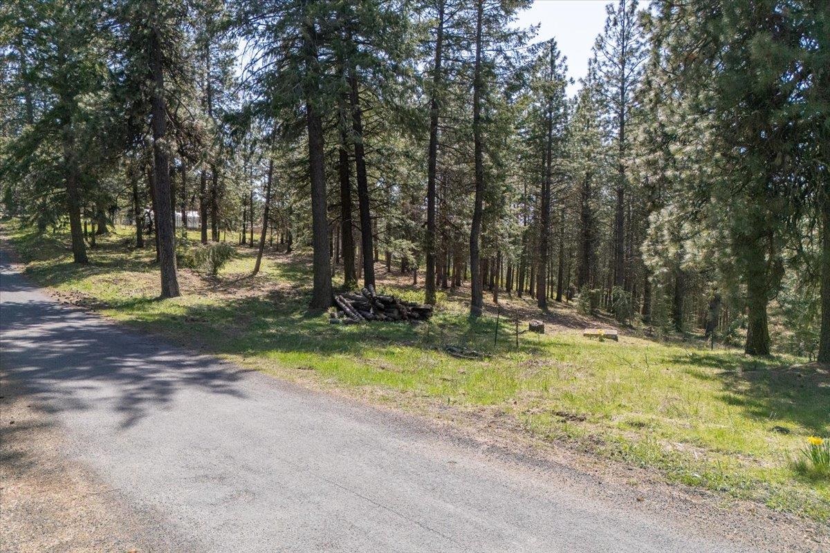 Spokane, Washington, 99223, United States, ,Land,For Sale,1795028
