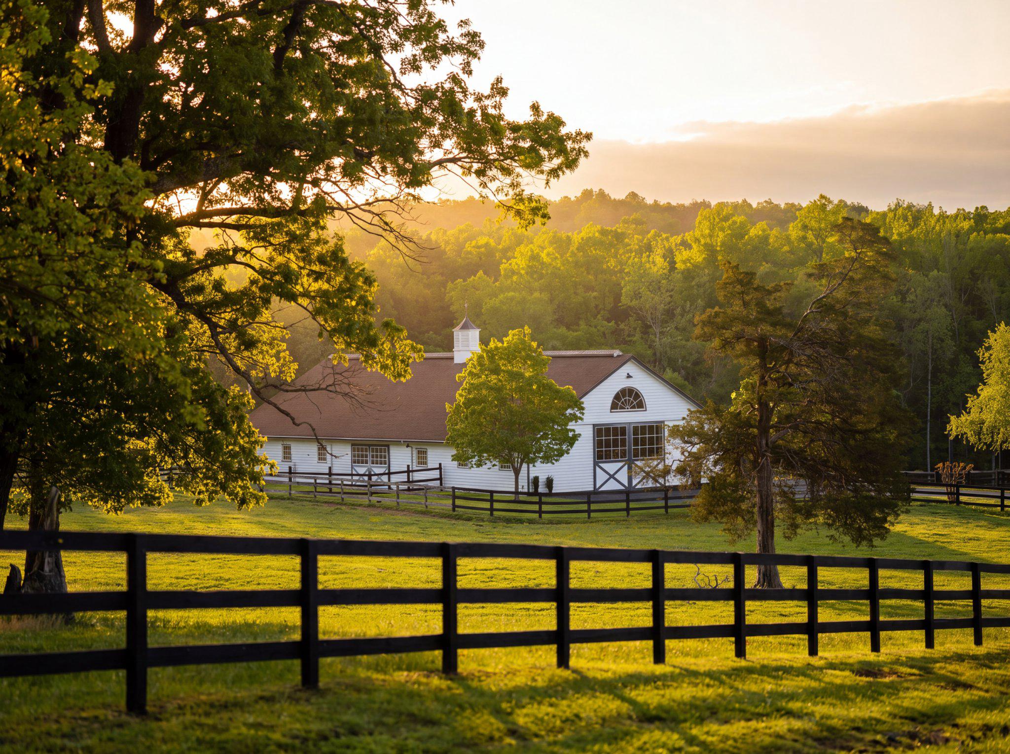  5520 Moonlight Drive, Scottsville, VA, 24590 - 物件實景