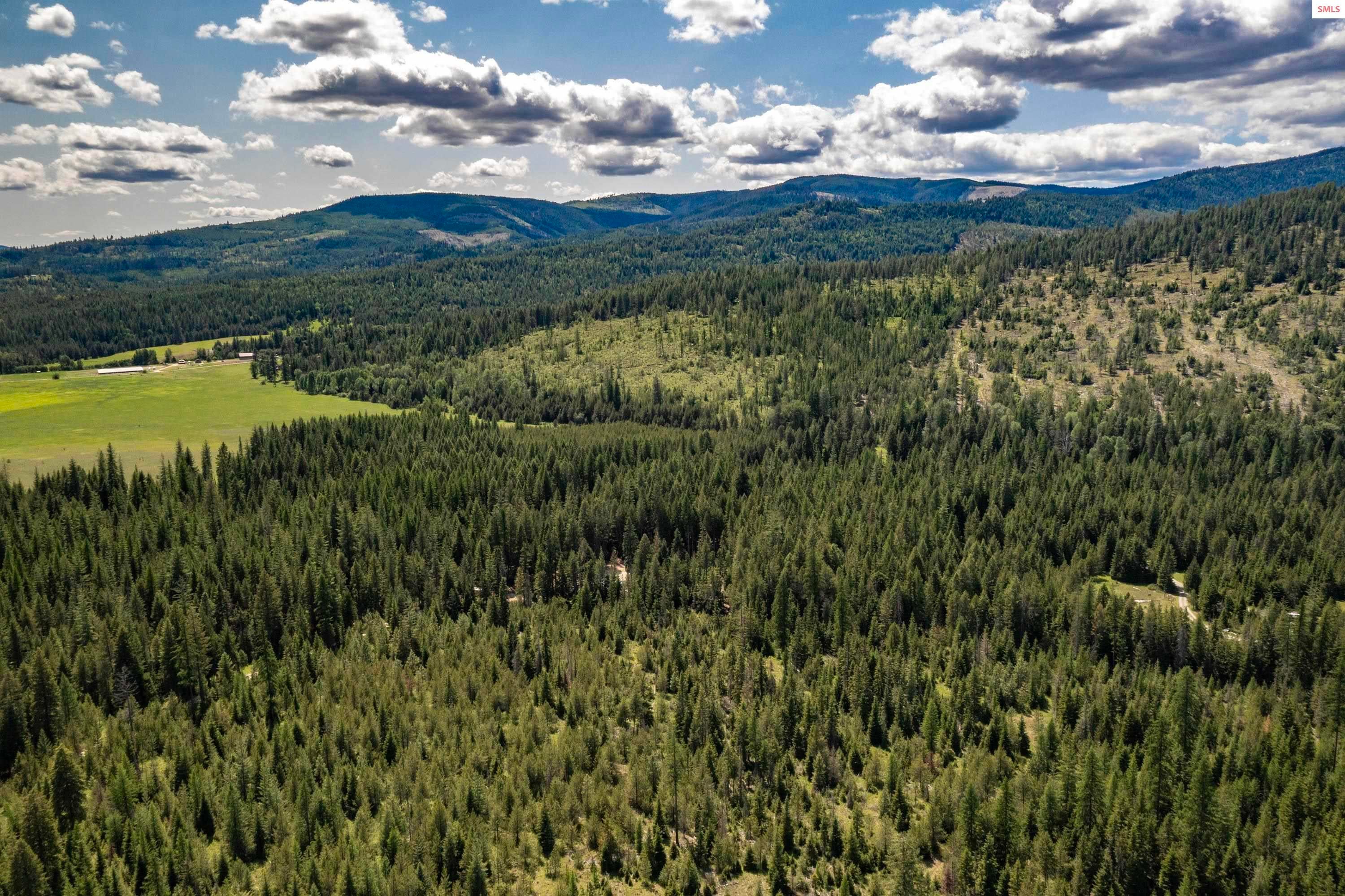Priest River, Idaho, 83856, United States, 4 Bedrooms Bedrooms, ,Residential,For Sale,2025404